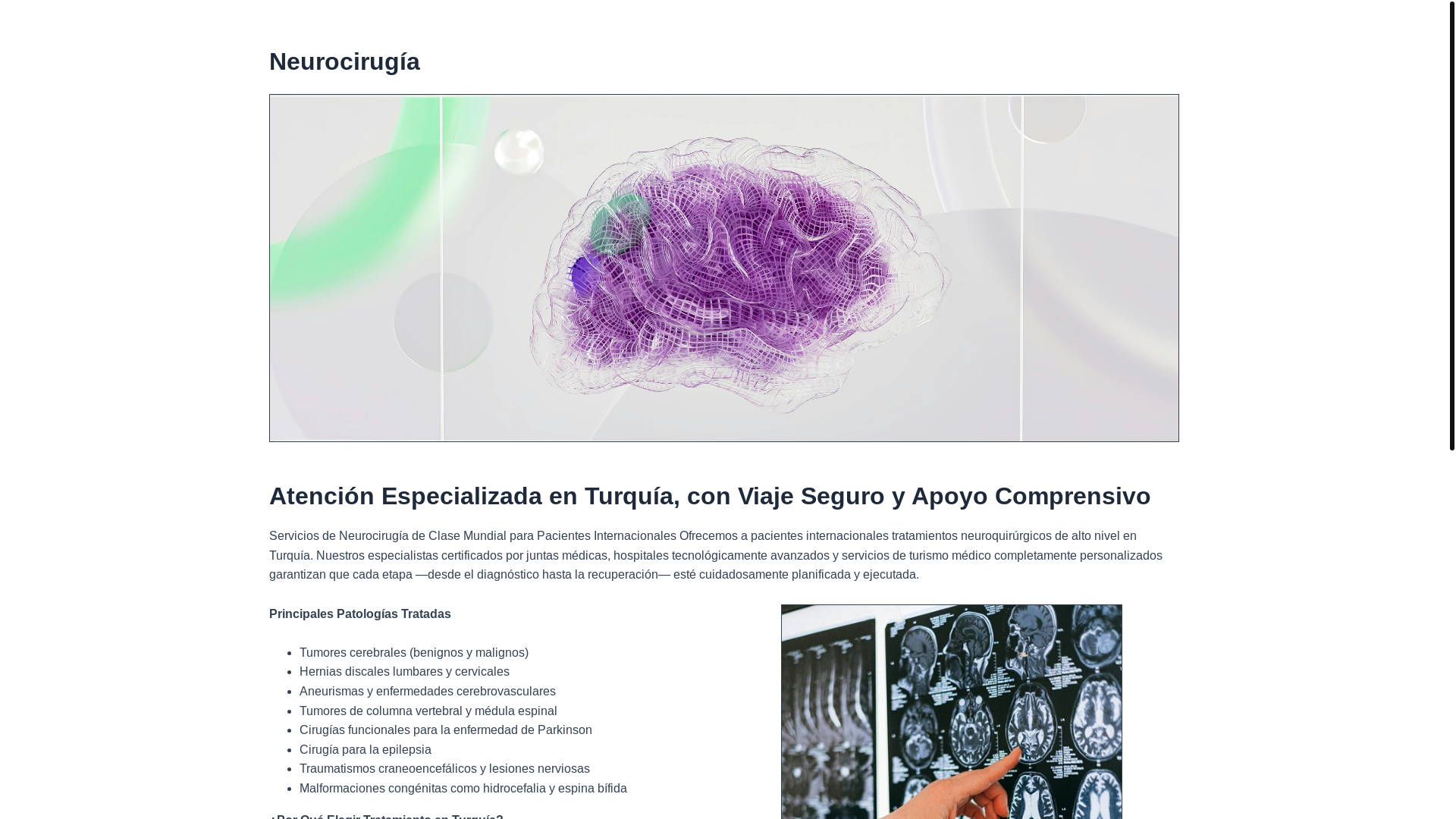 website screenshot of https://medipolpbrainsurgery-es.pages.dev/