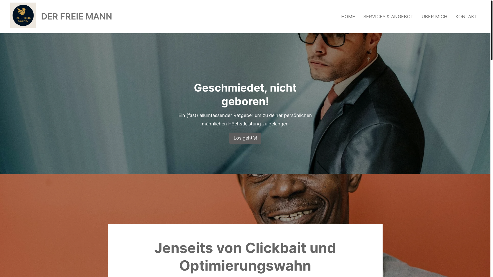 website screenshot of https://derfreiemann.de/