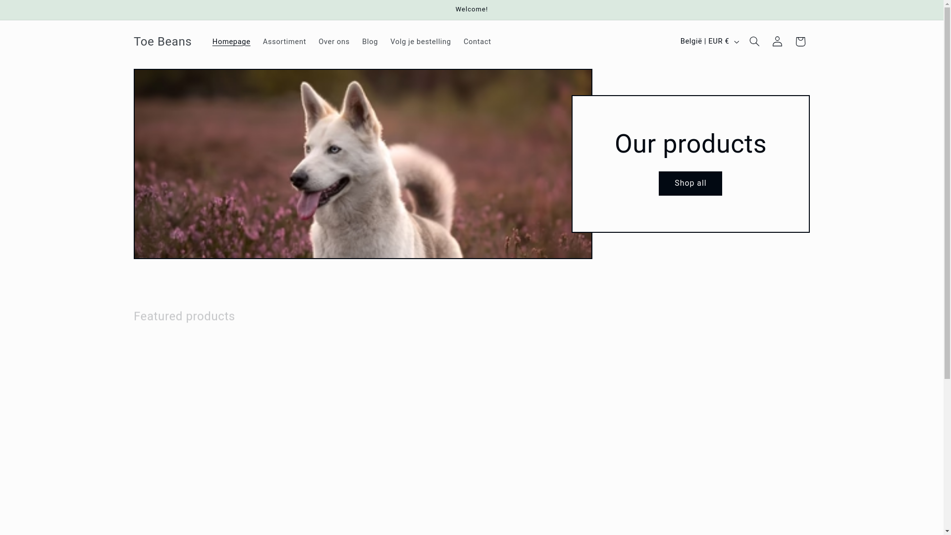 website screenshot of https://toebeans.be/