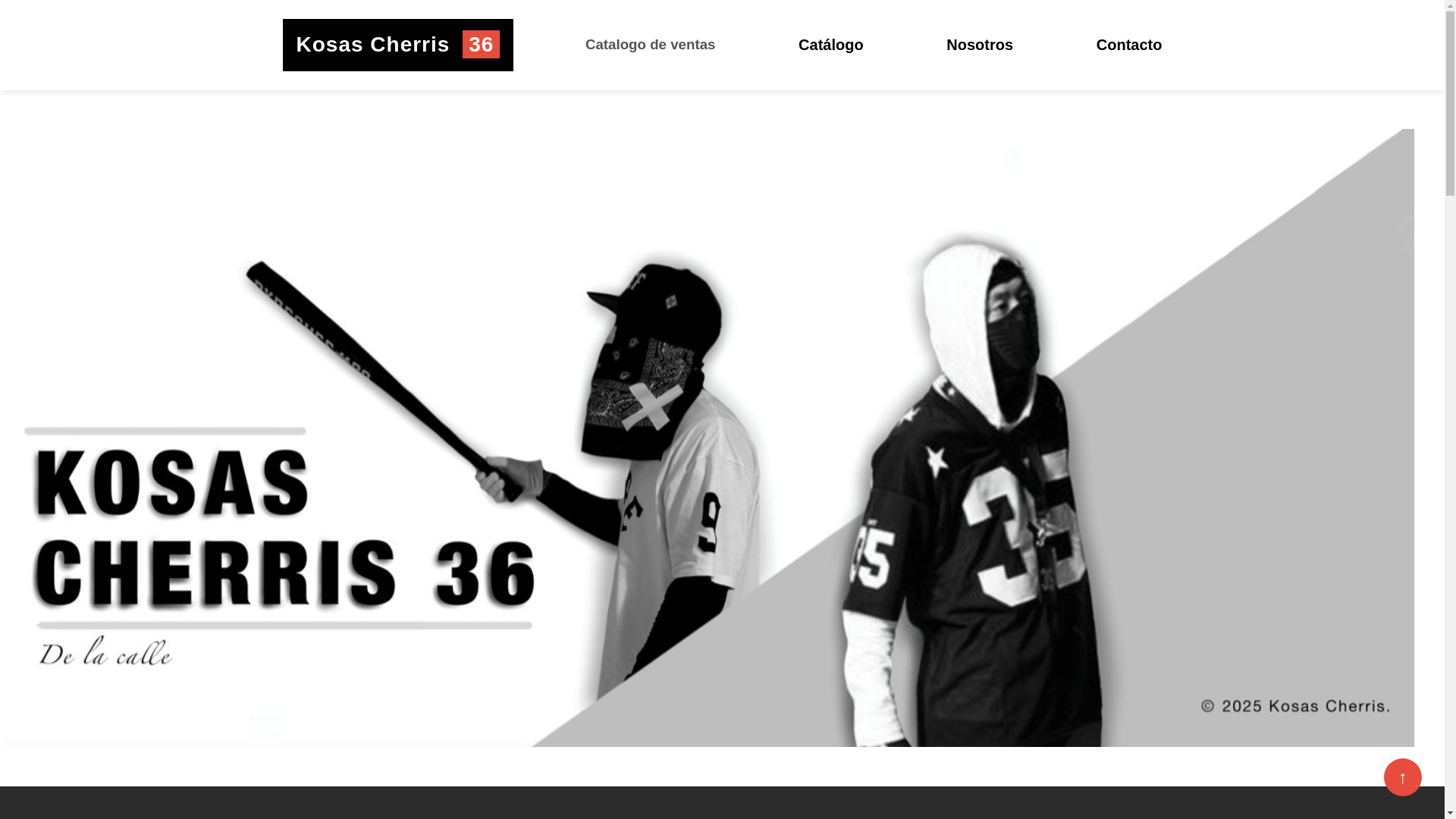 website screenshot of https://kosascherris36.shop/