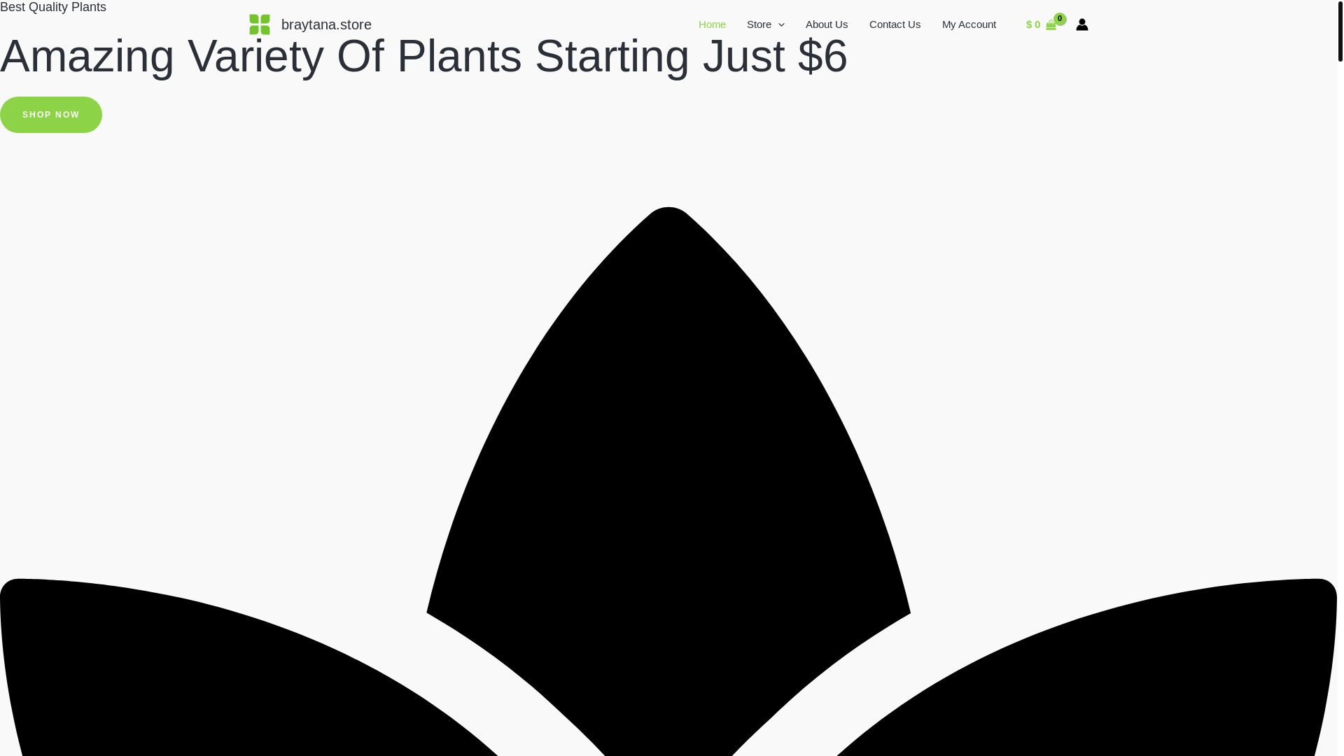 website screenshot of https://braytana.store/