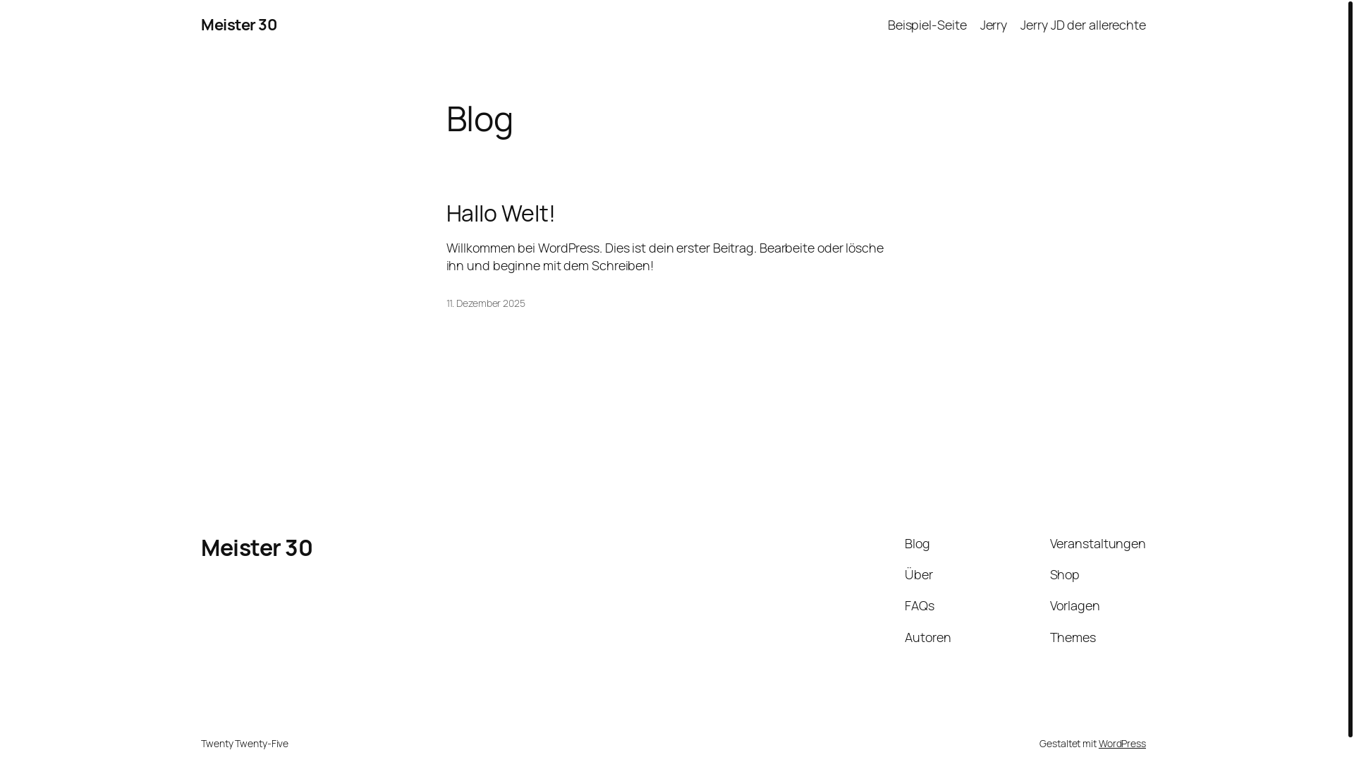 website screenshot of https://meister30.de/
