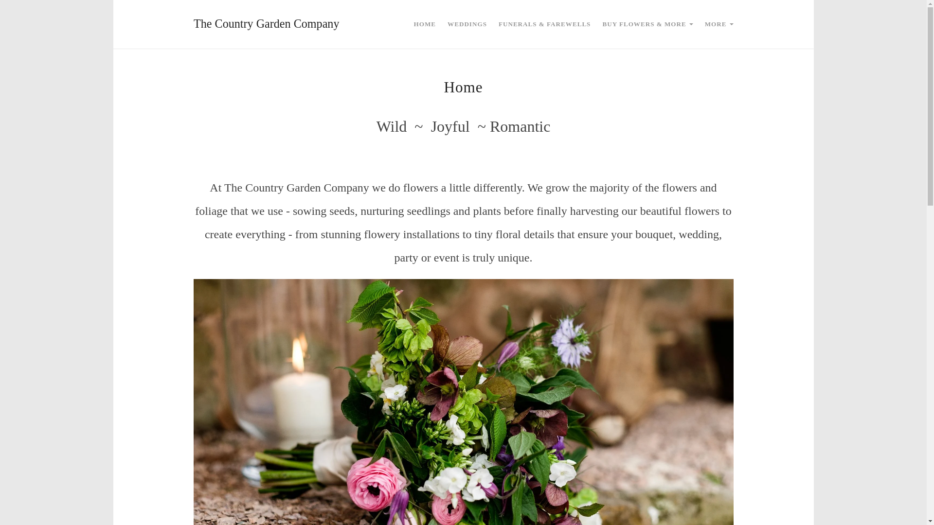 website screenshot of https://littlebeeandtheowl.com/