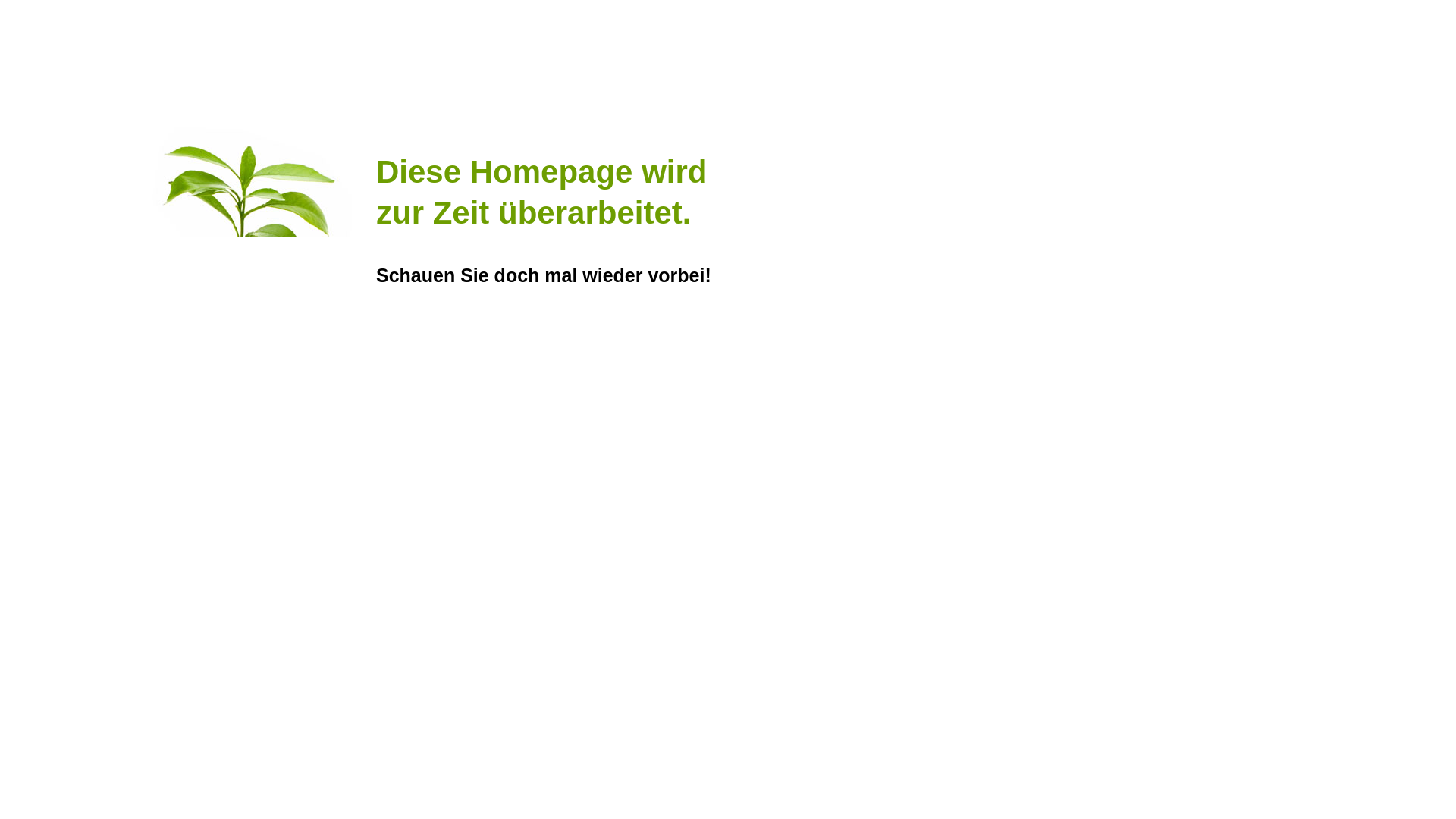 website screenshot of https://schreibservice-glatz.de/