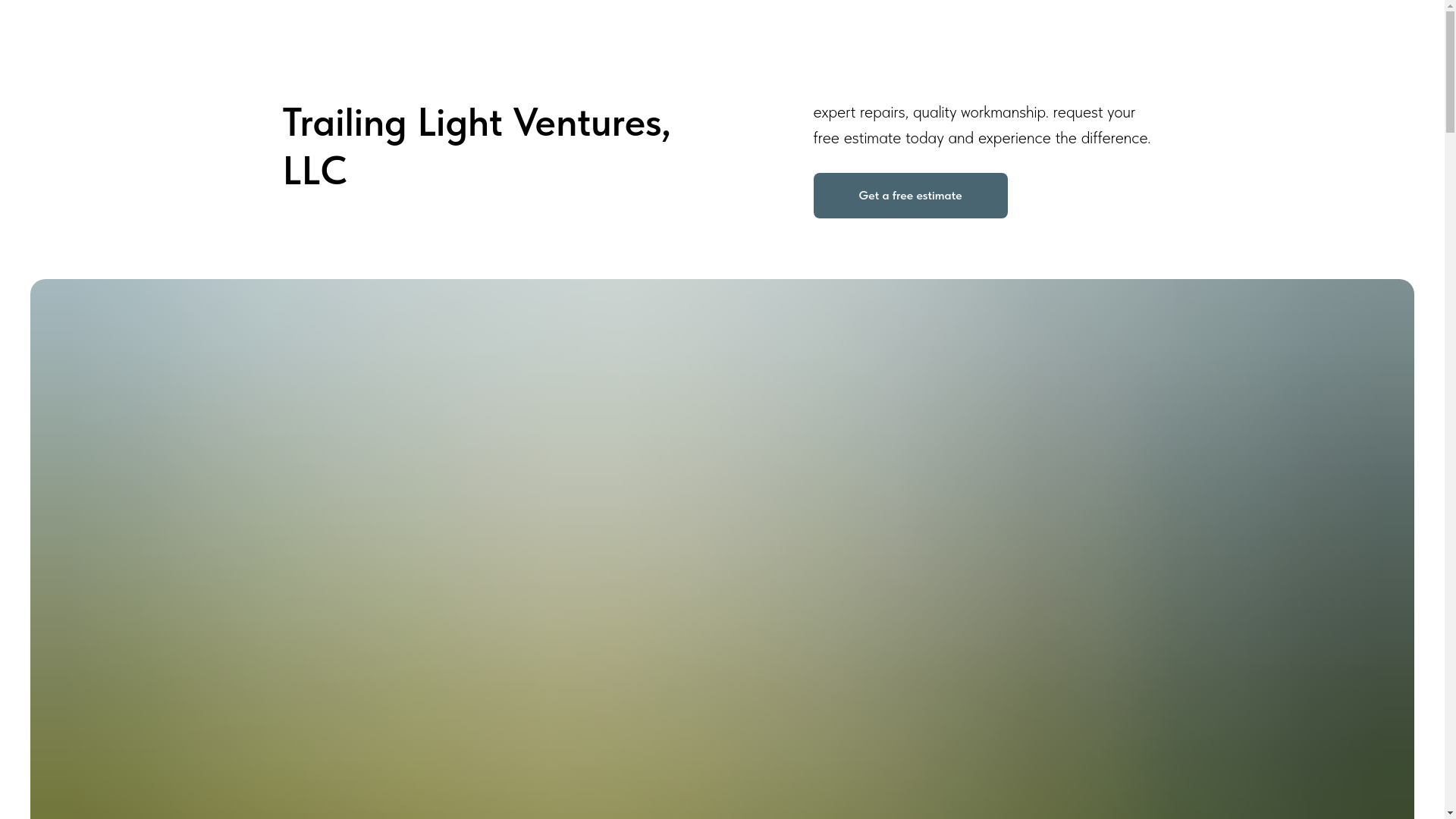 website screenshot of https://trailinglightventuresllc.pro/