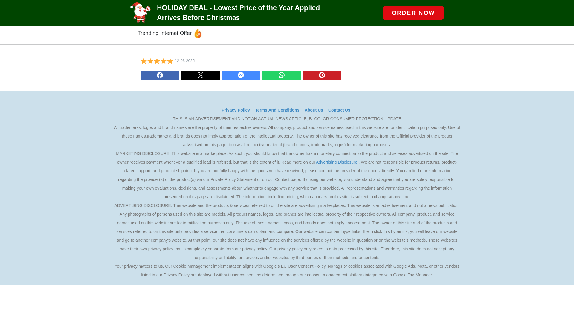 website screenshot of https://festbergbohrer.com/