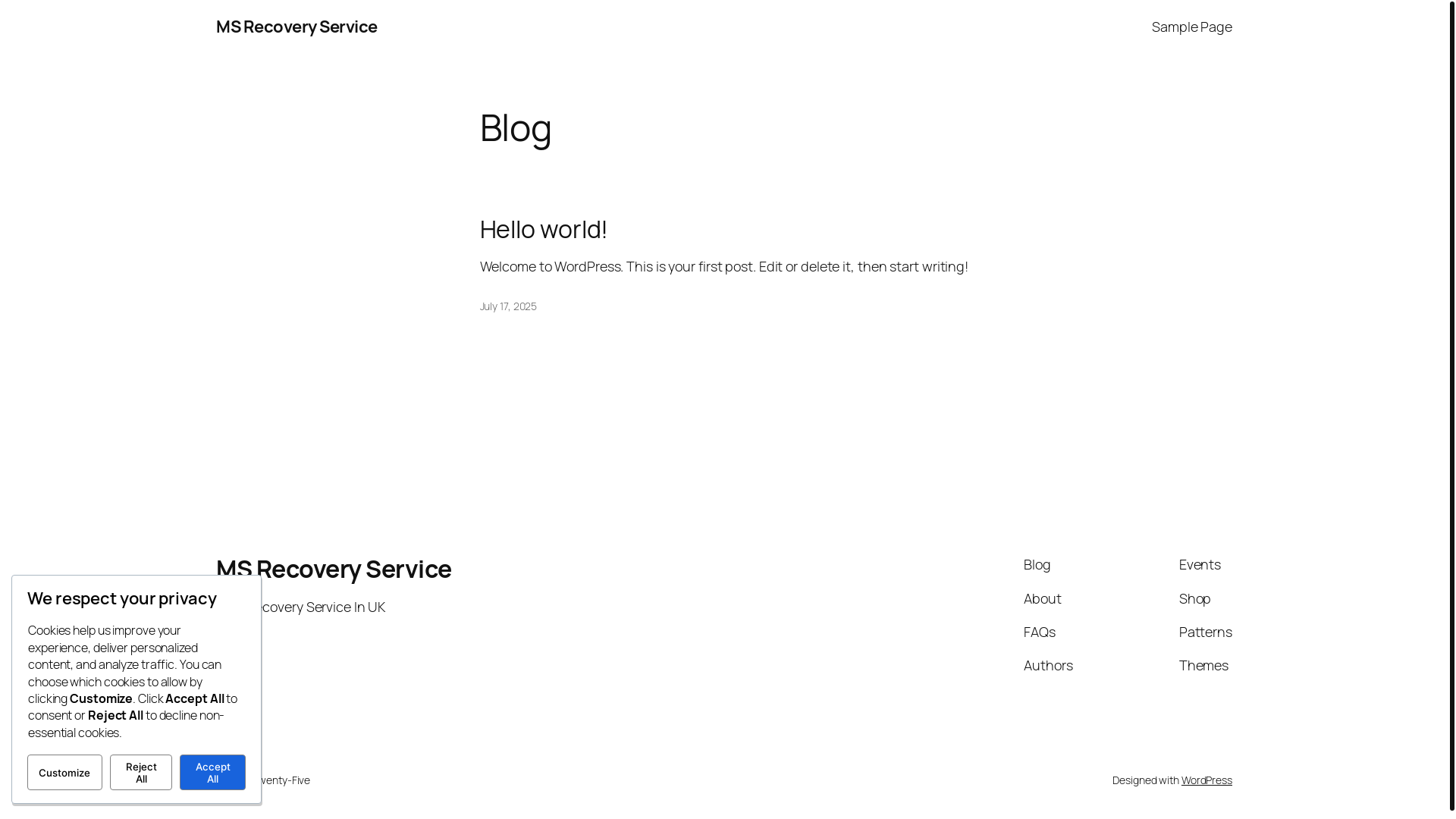 website screenshot of https://msrecoveryservice.com/