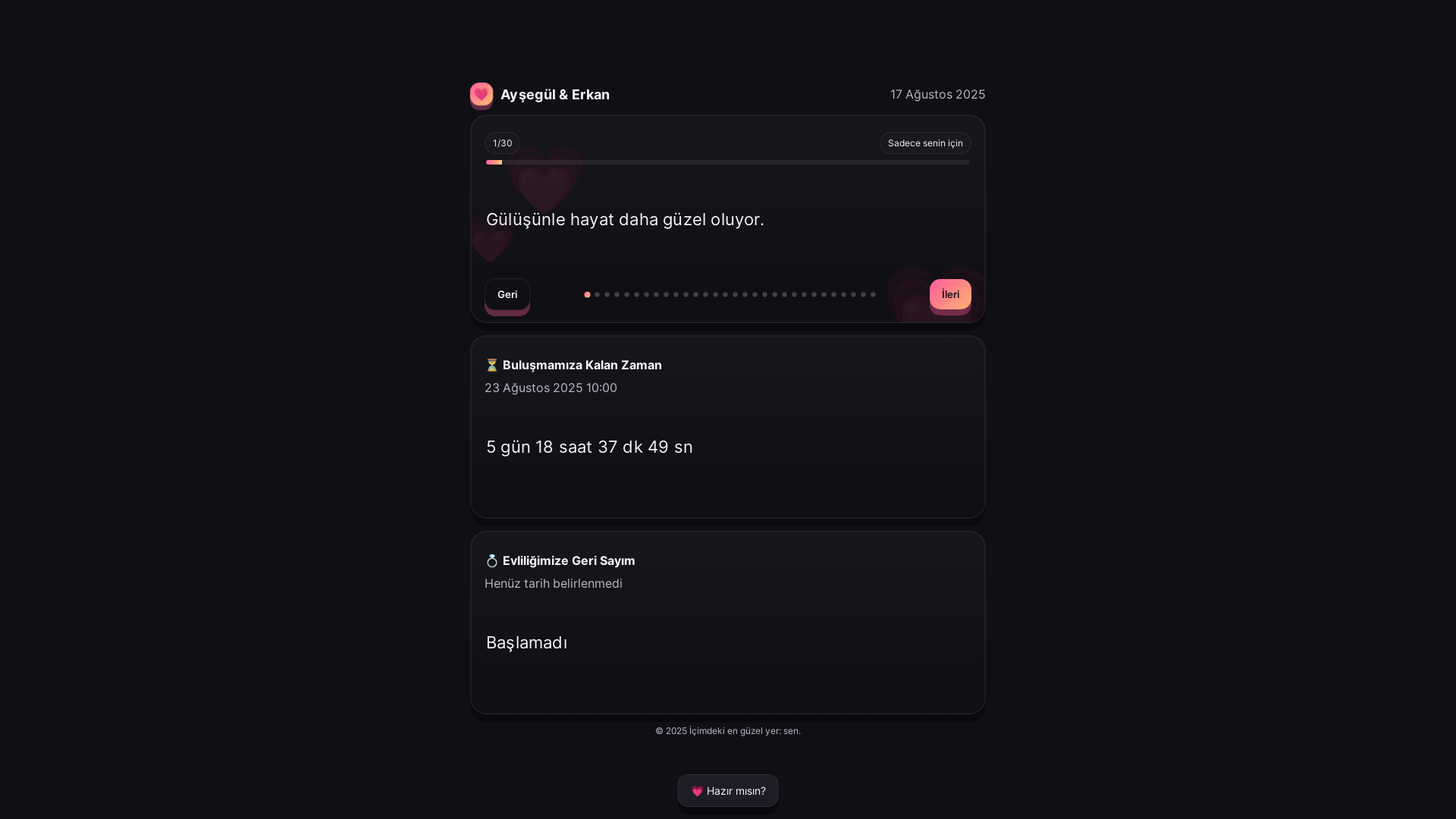 website screenshot of https://aysegulerkan.com.tr/
