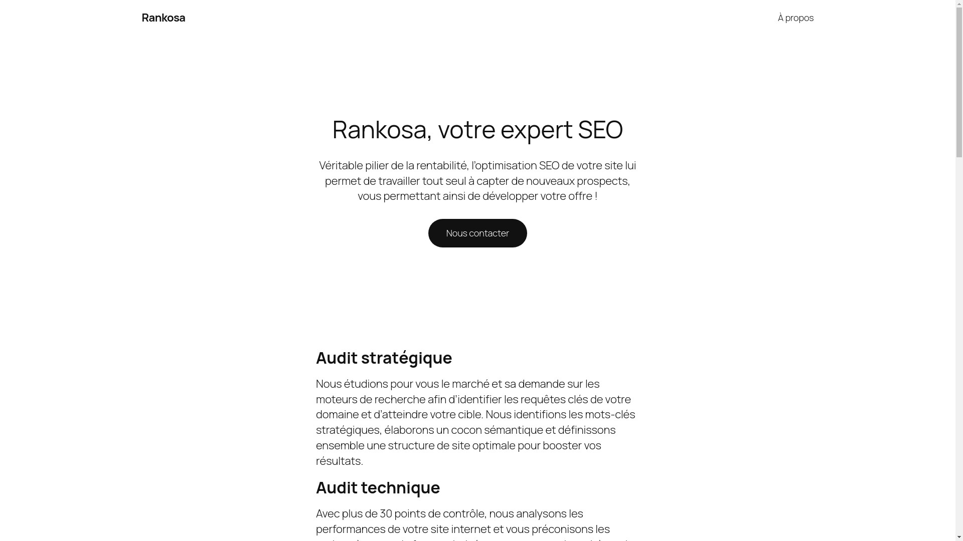 website screenshot of https://rankosa.com/