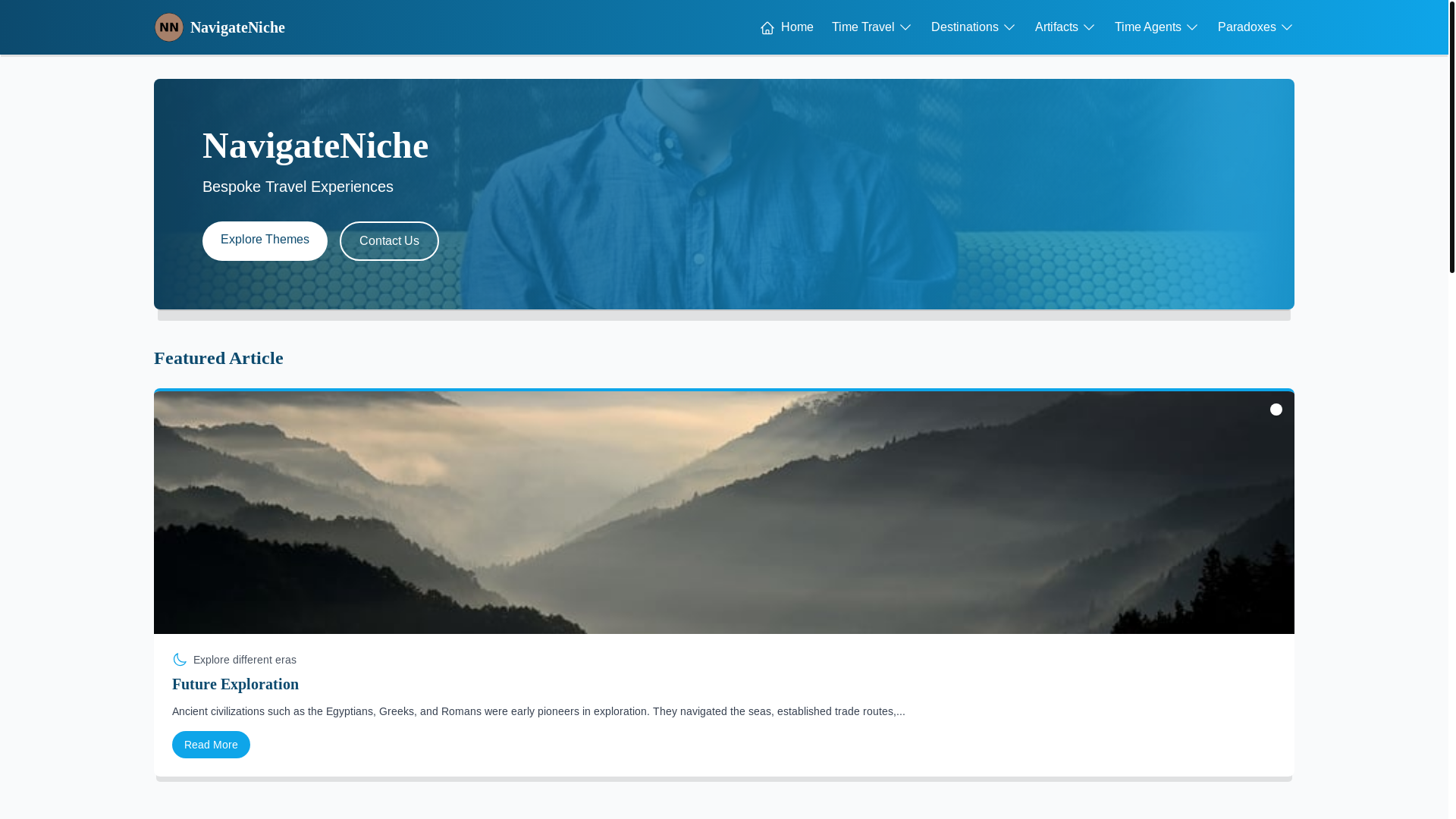 website screenshot of https://navigatenichetravels.live/