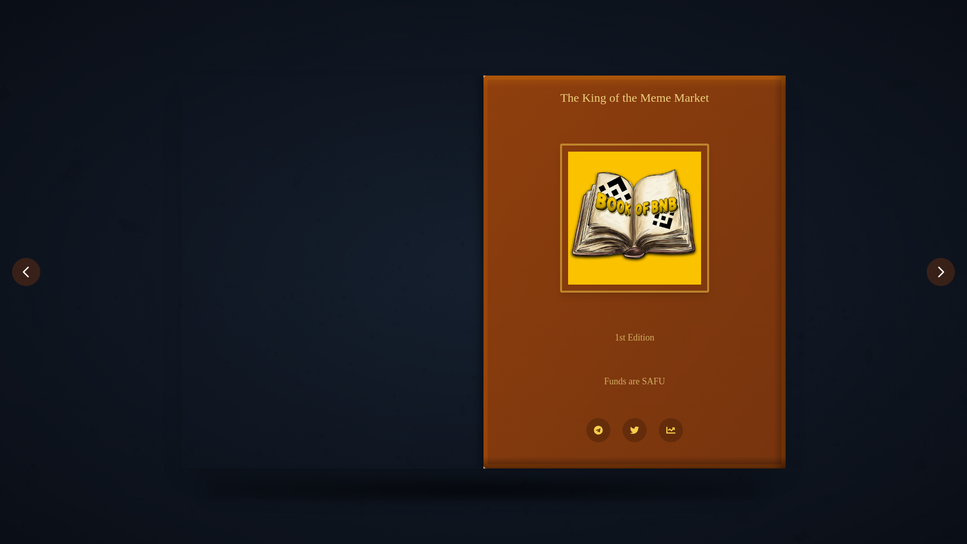 website screenshot of https://bscbookcoin.xyz/
