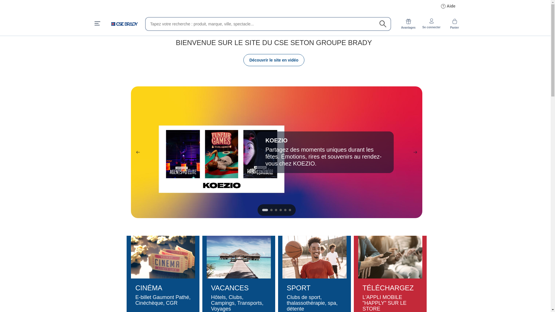 website screenshot of https://cse-bradyroncq.com