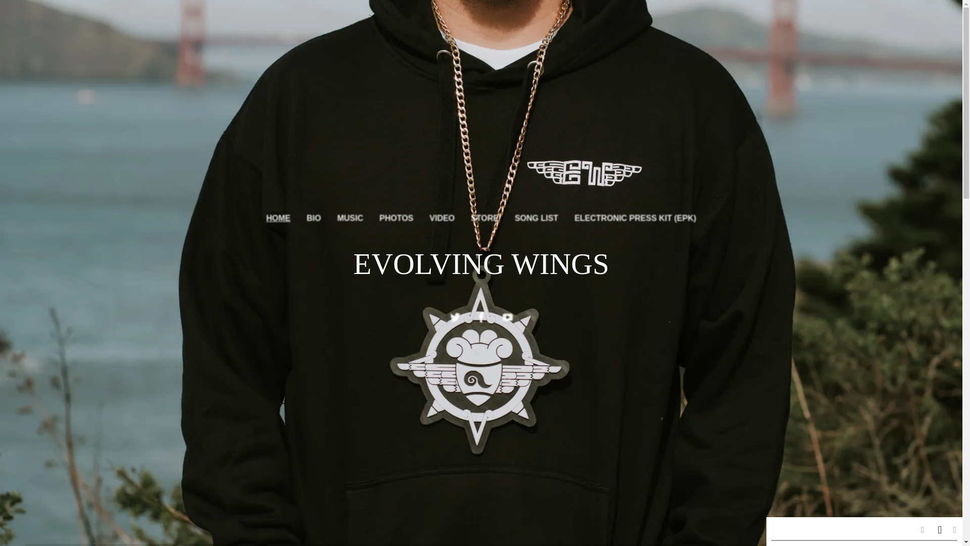 website screenshot of https://evolvingwingsmusic.com/