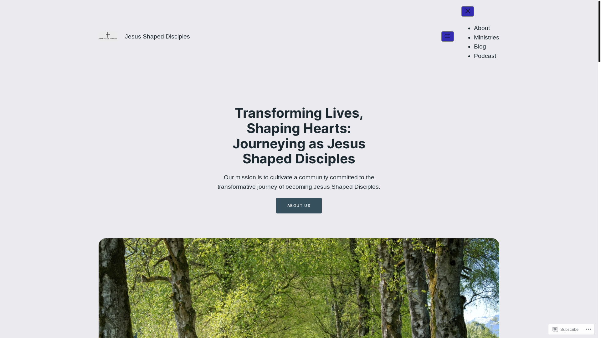 website screenshot of https://jesusshapeddisciples.com/