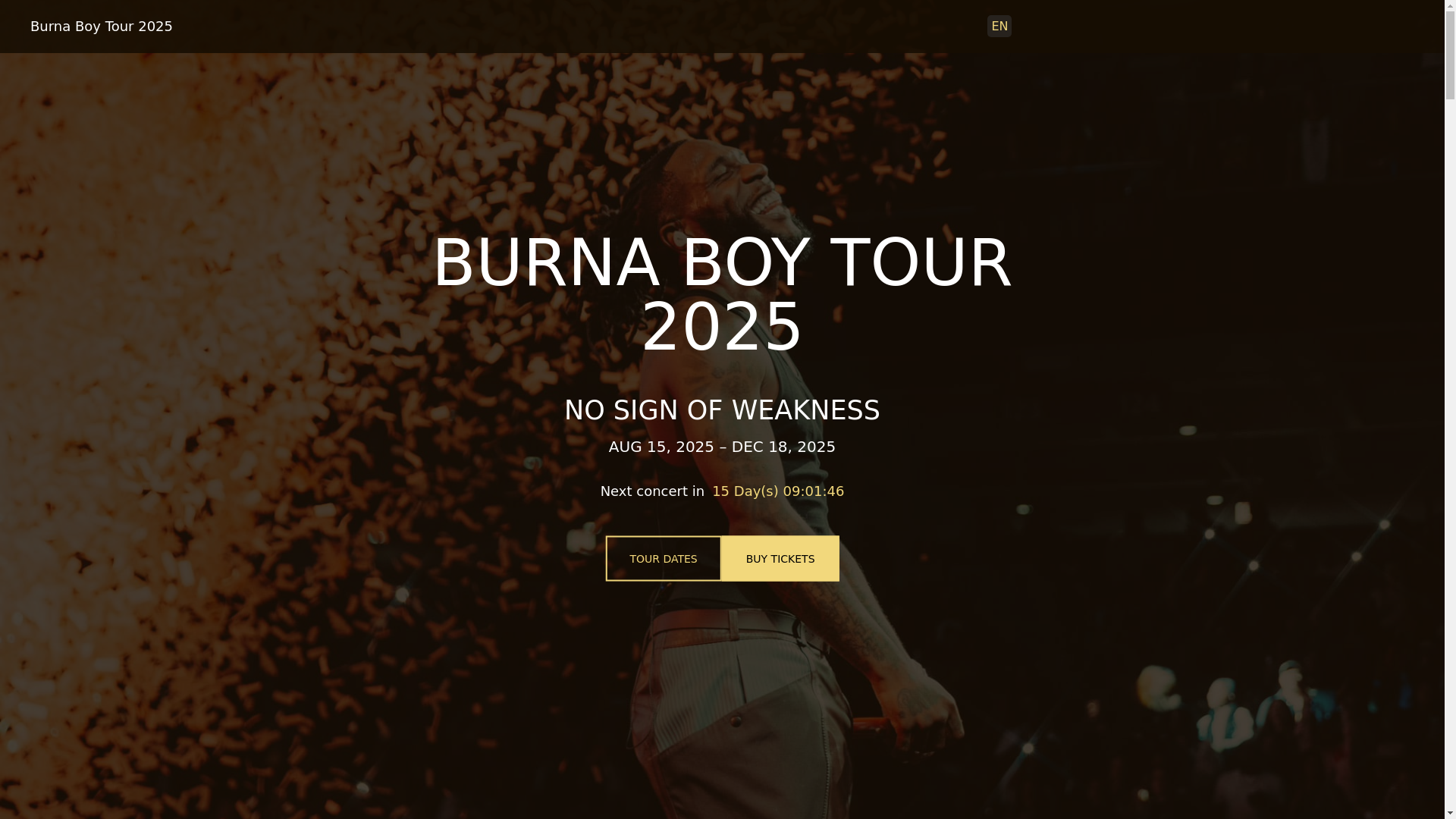 website screenshot of https://burnaboyworldtour-com-github-io.pages.dev/