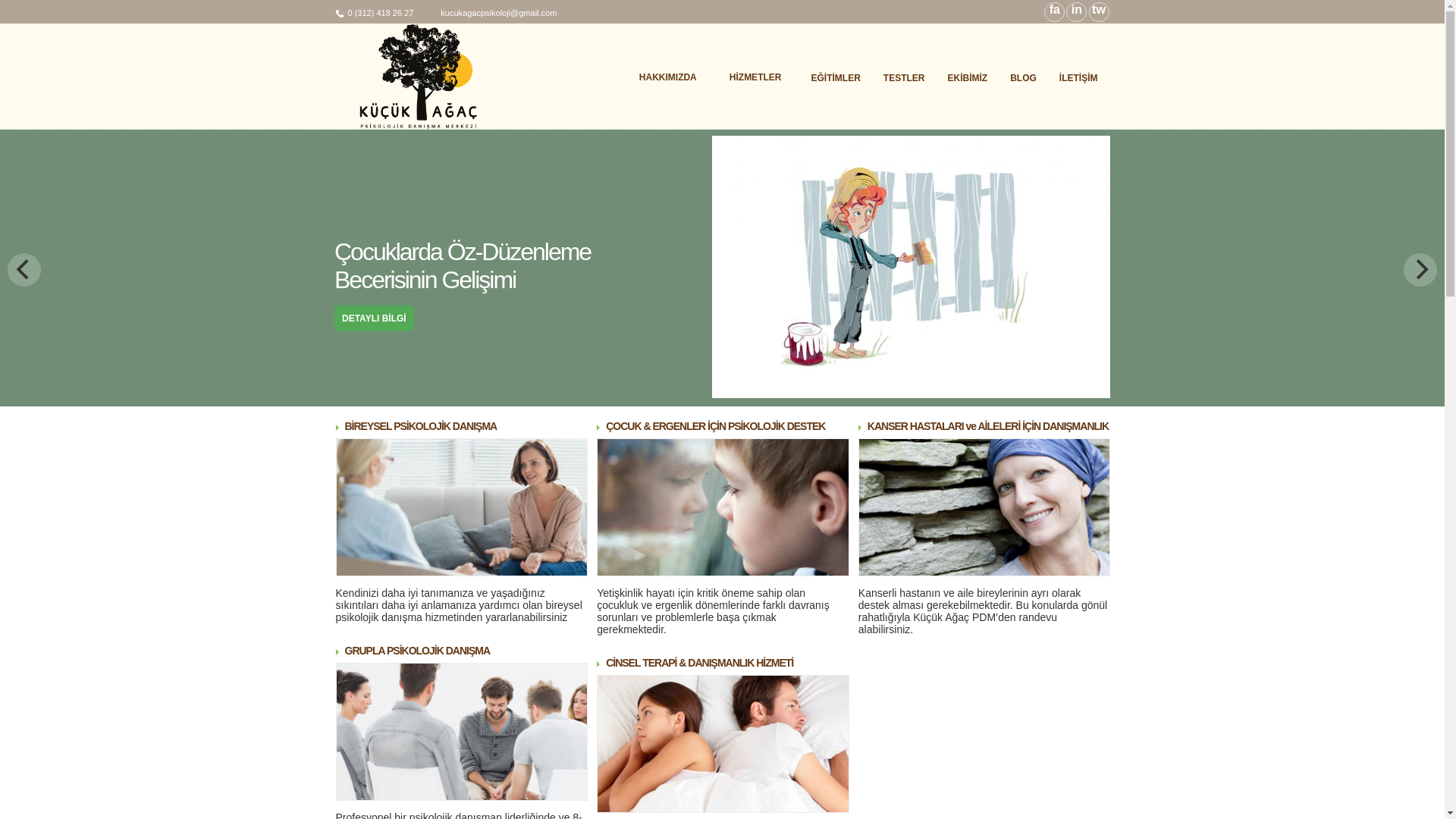 website screenshot of https://kucukagacdanismanlik.com.tr/