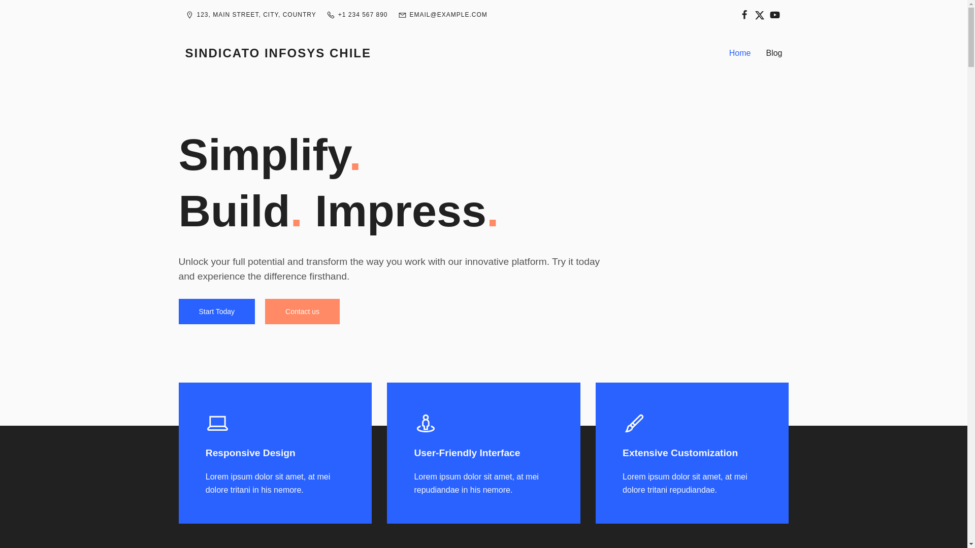 website screenshot of https://sindicatoinfosys.cl/