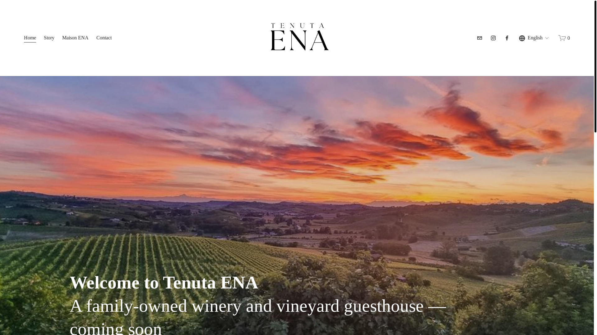 website screenshot of https://tenutaena.it/
