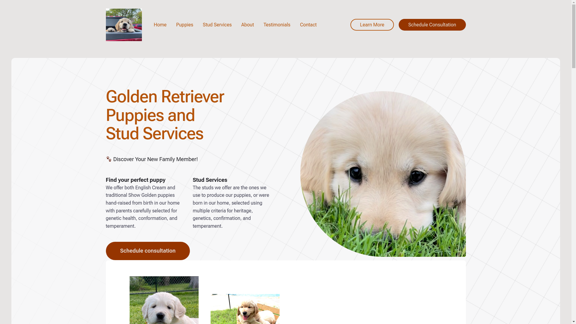 website screenshot of https://mckinneygoldens.com/