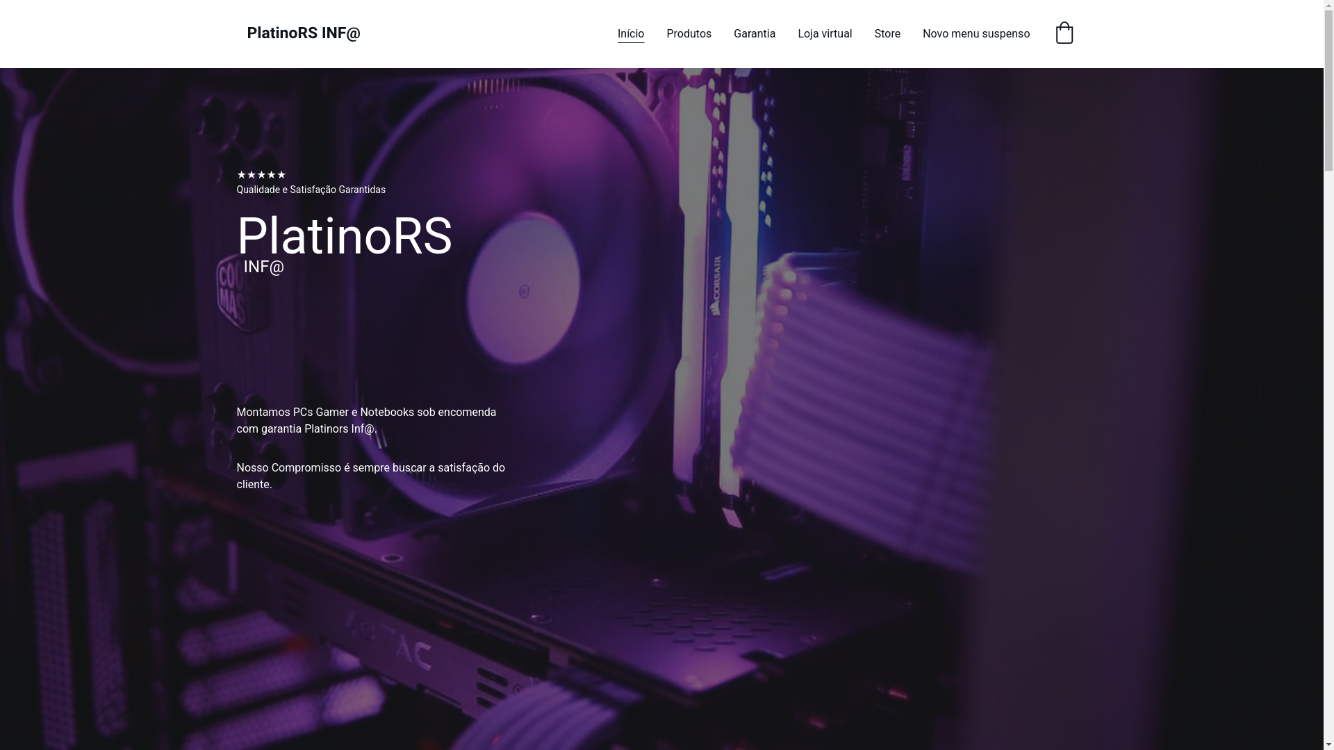 website screenshot of https://platinorsinfo.com/