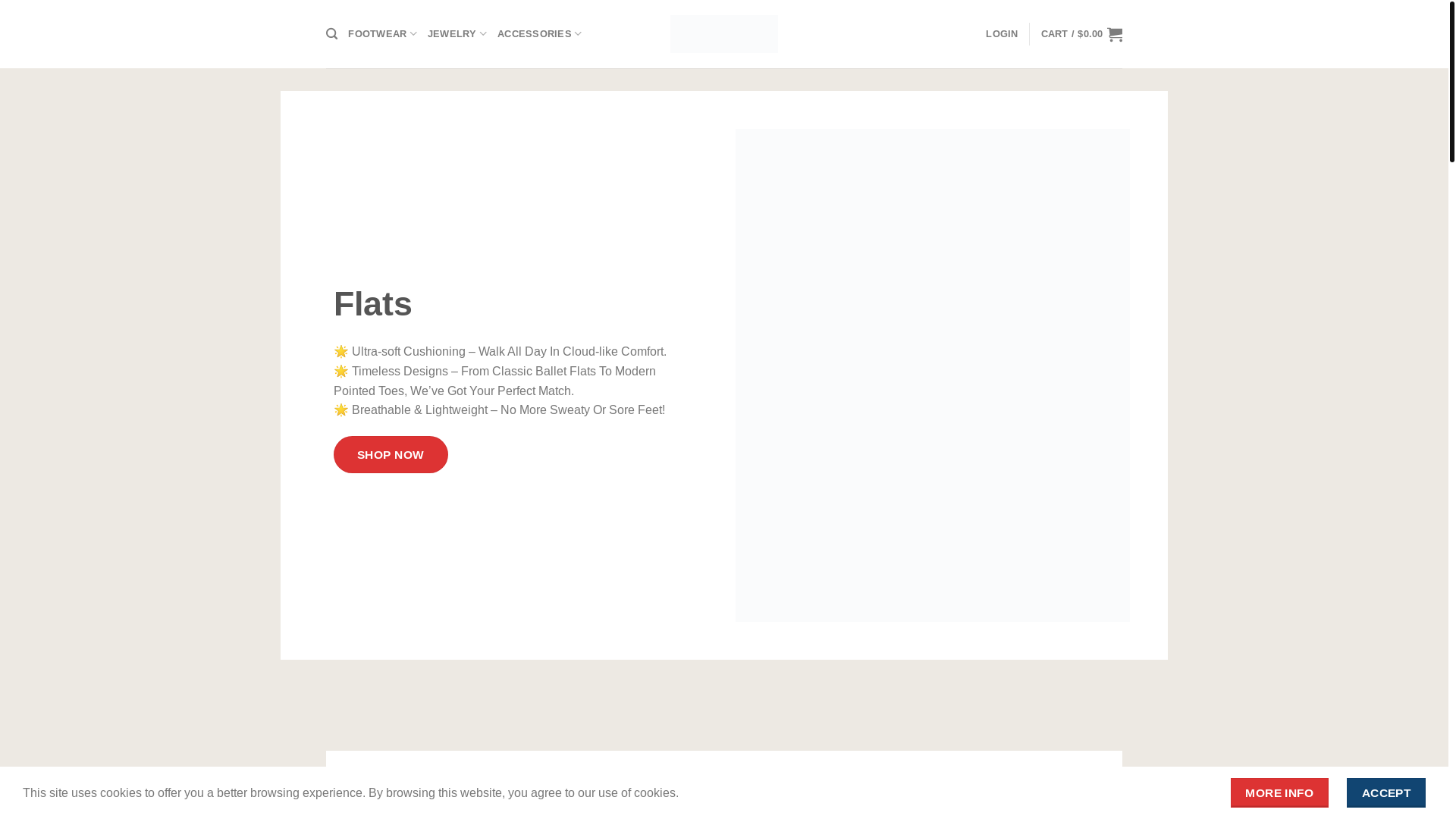website screenshot of https://aeydeboots.com/