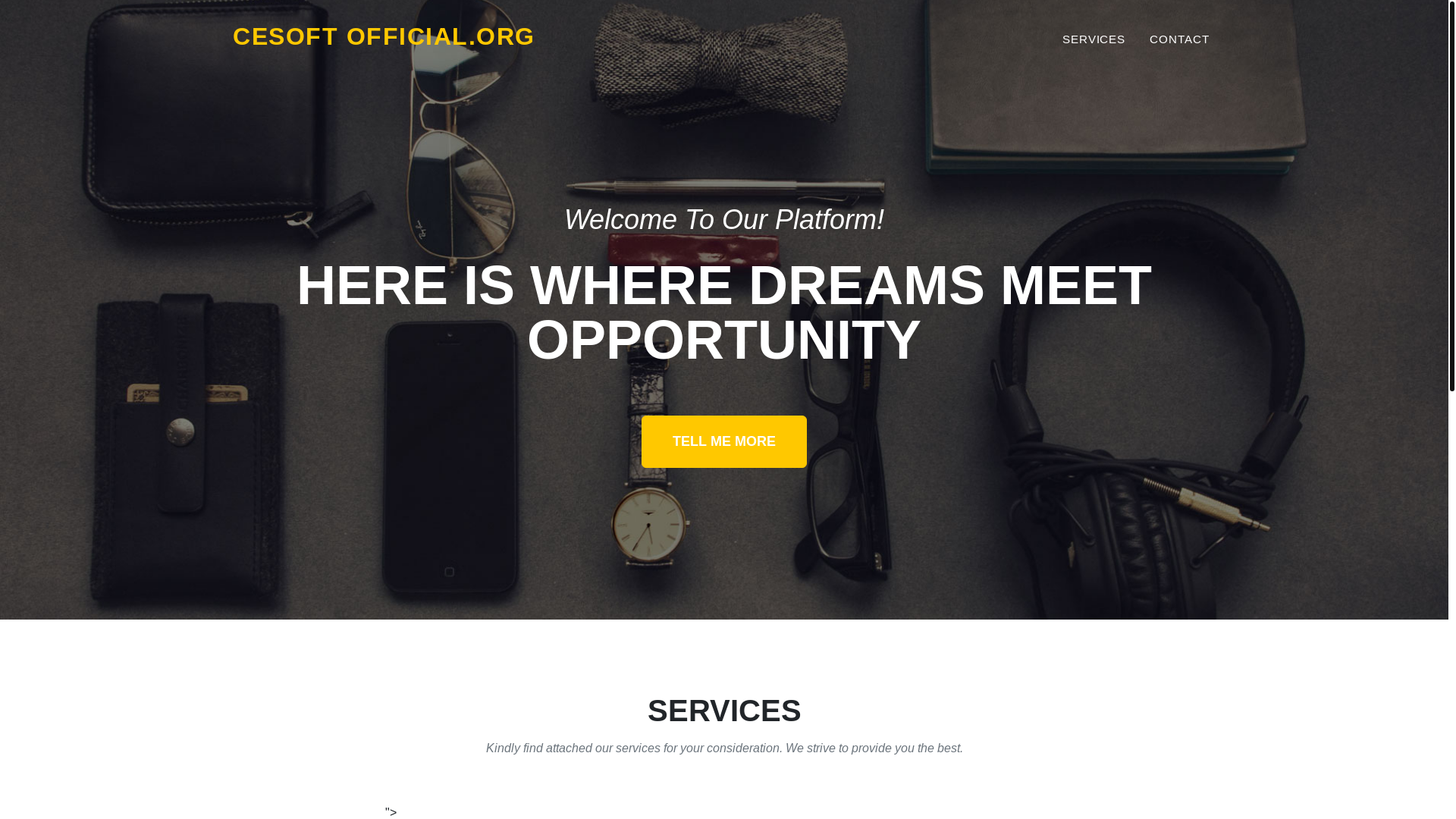 website screenshot of https://cesoftenterprise.com/