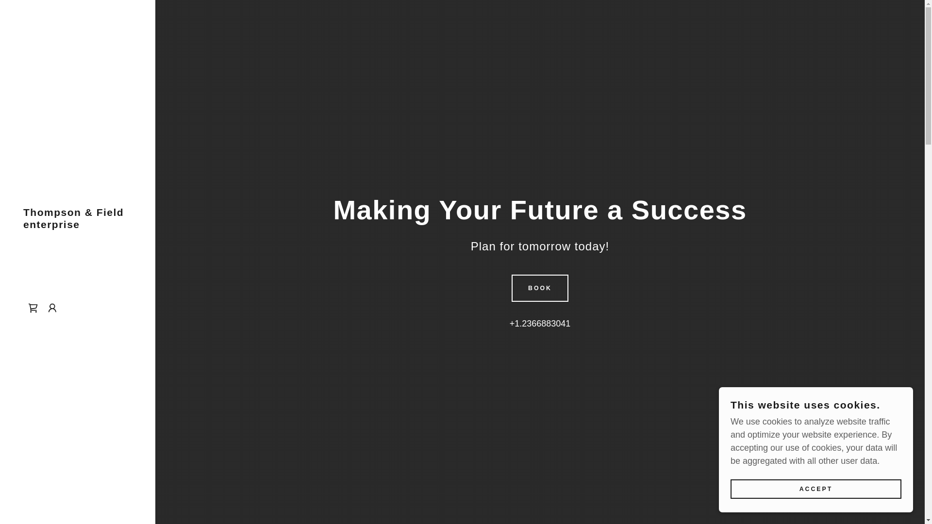 website screenshot of https://stockkings.ca/