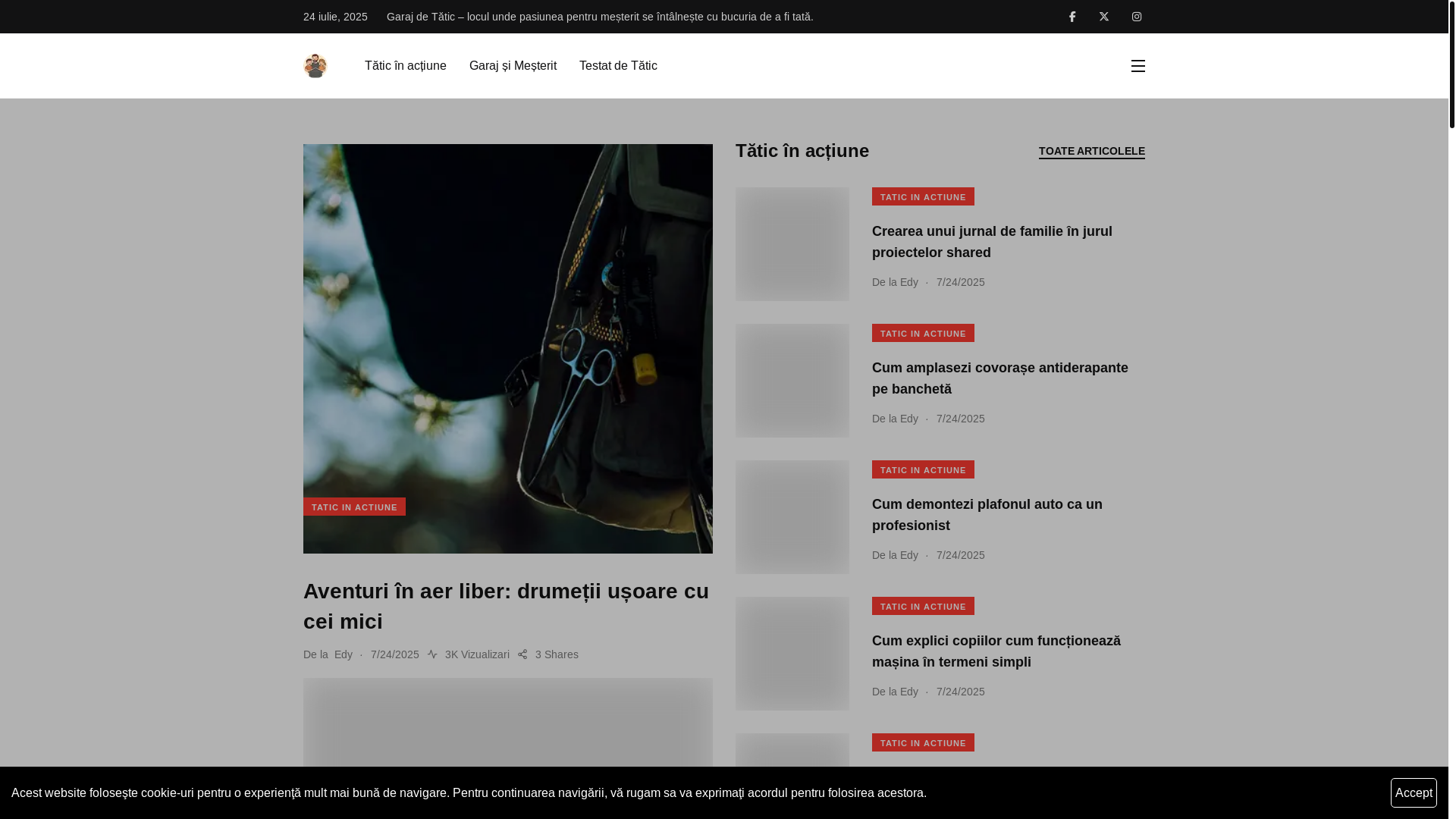 website screenshot of https://garajdetatic.ro/