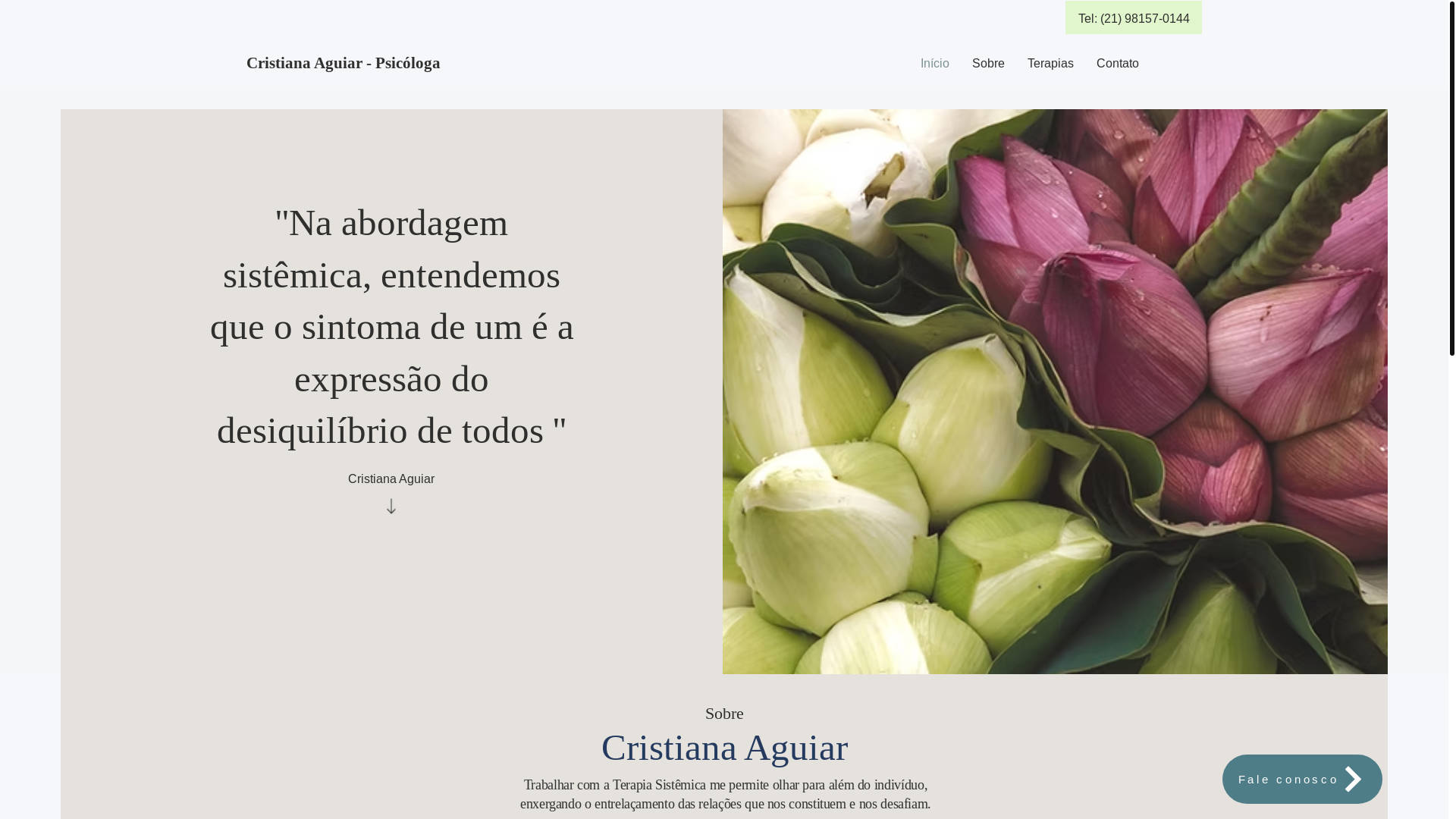 website screenshot of https://cristianaaguiar.com/