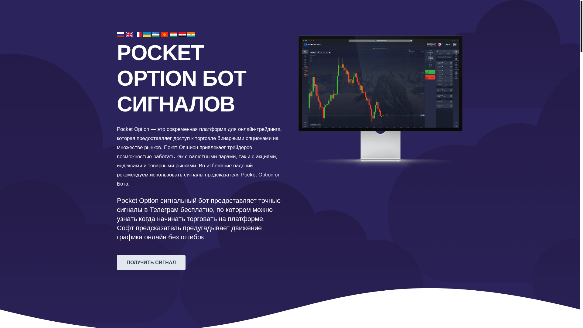 website screenshot of https://pocketoptionbot.com/