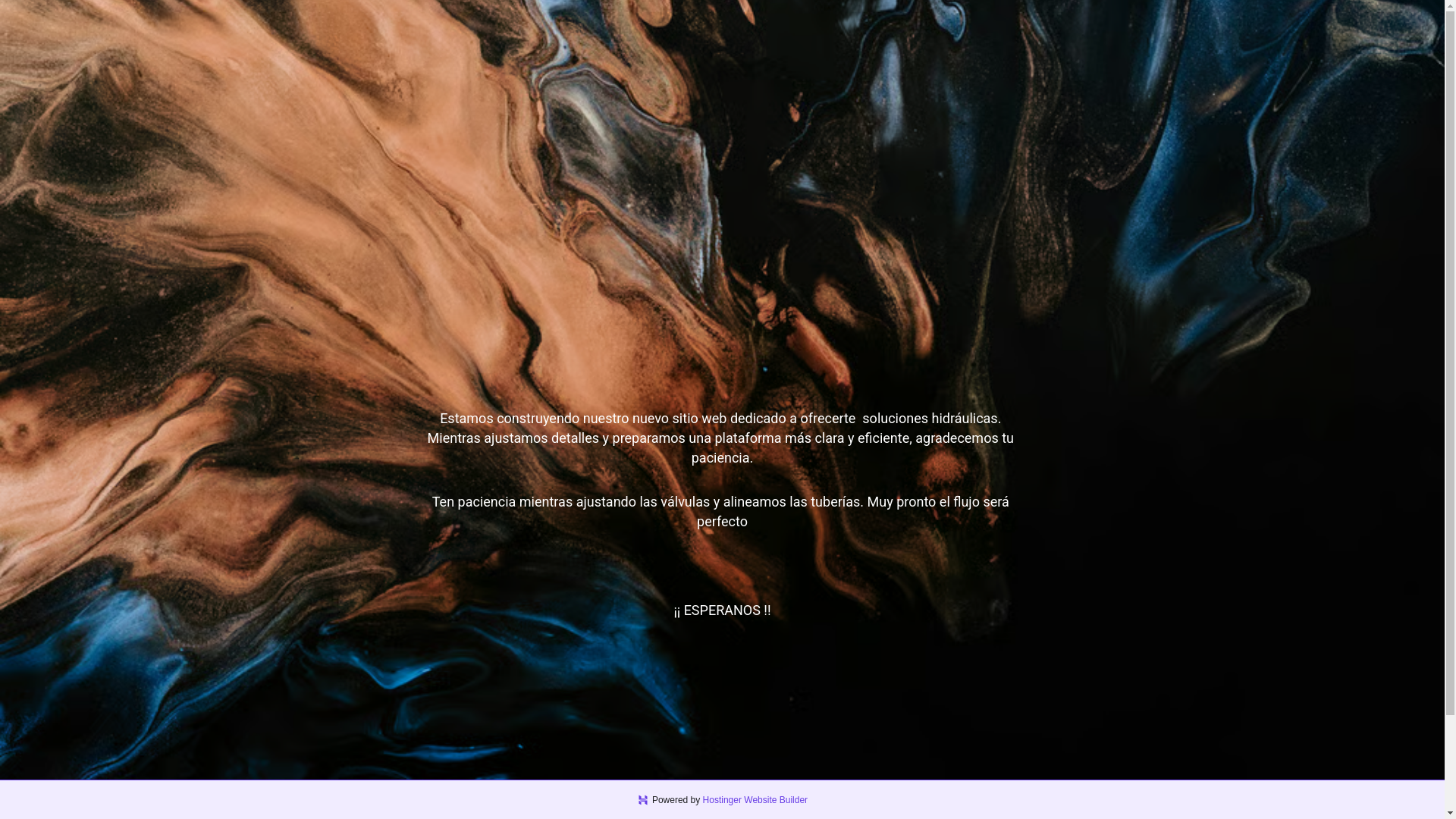 website screenshot of https://gruponisap.com/