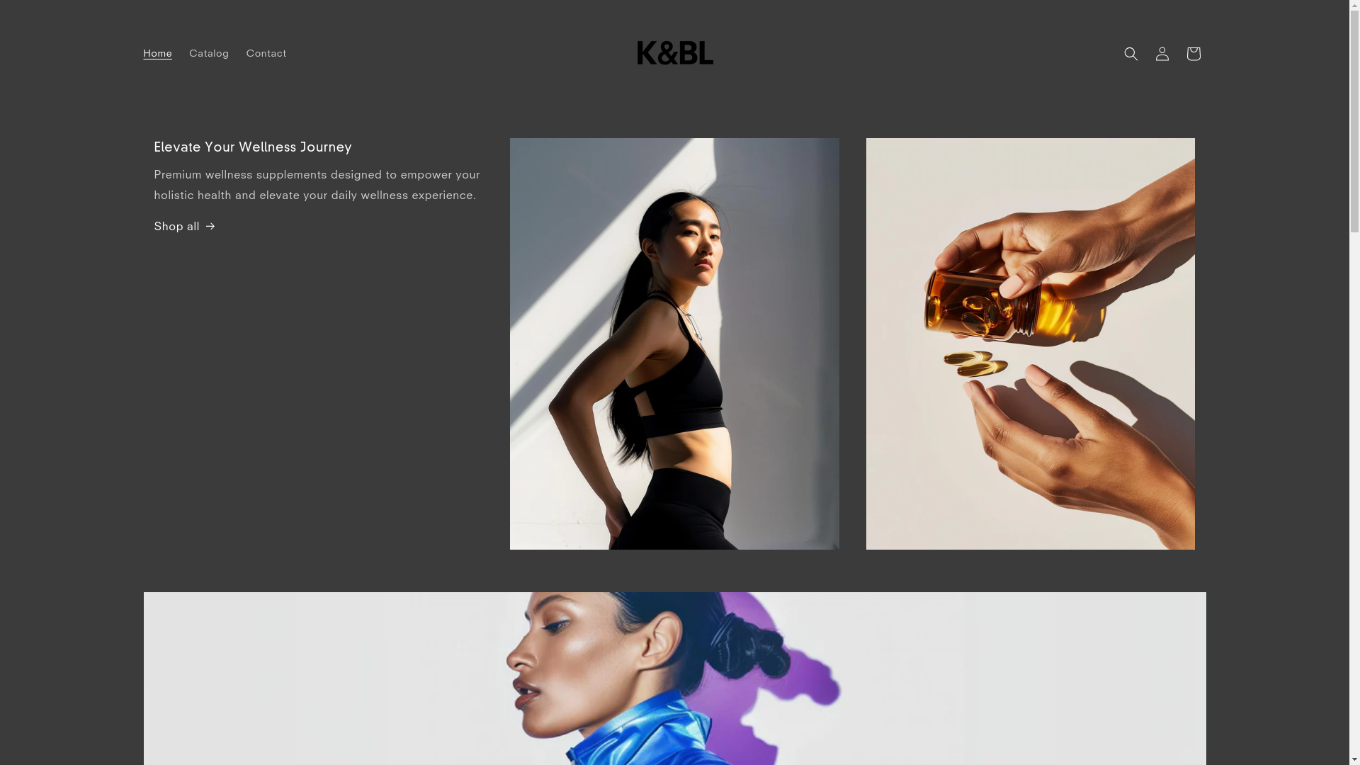 website screenshot of https://kandbl.com/