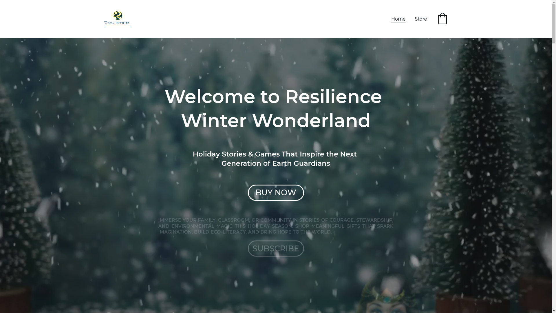 website screenshot of https://resiliencewinterwonderland.com/