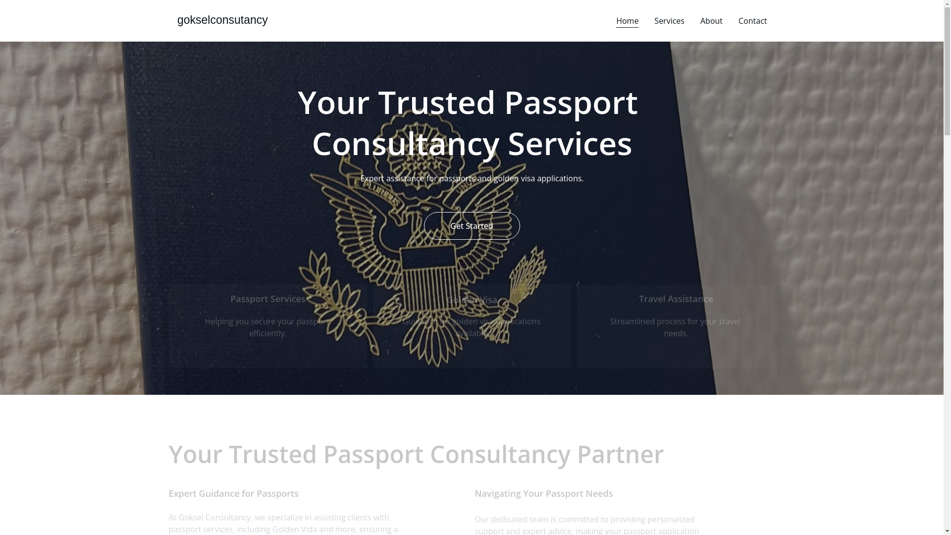 website screenshot of https://gokselconsultancy.info/