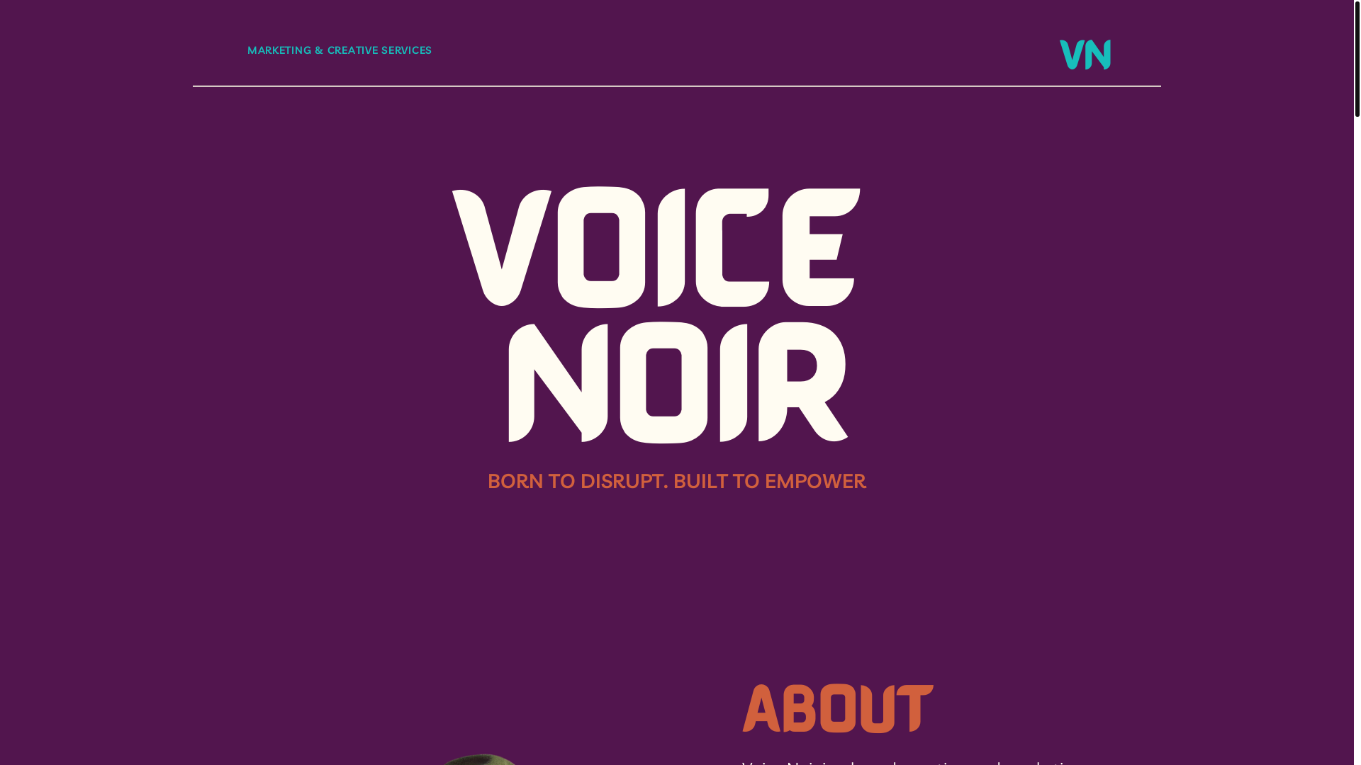 website screenshot of https://voice-noir.com/