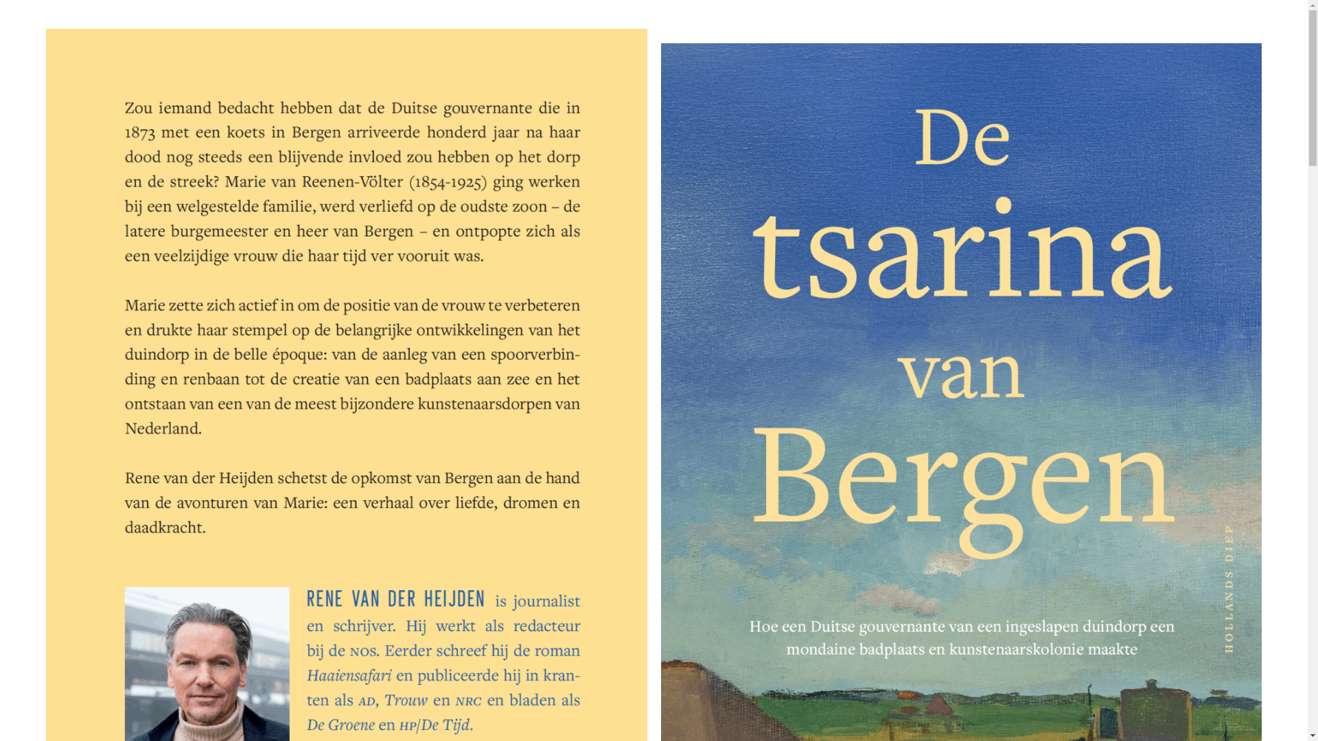 website screenshot of https://detsarinavanbergen.nl/