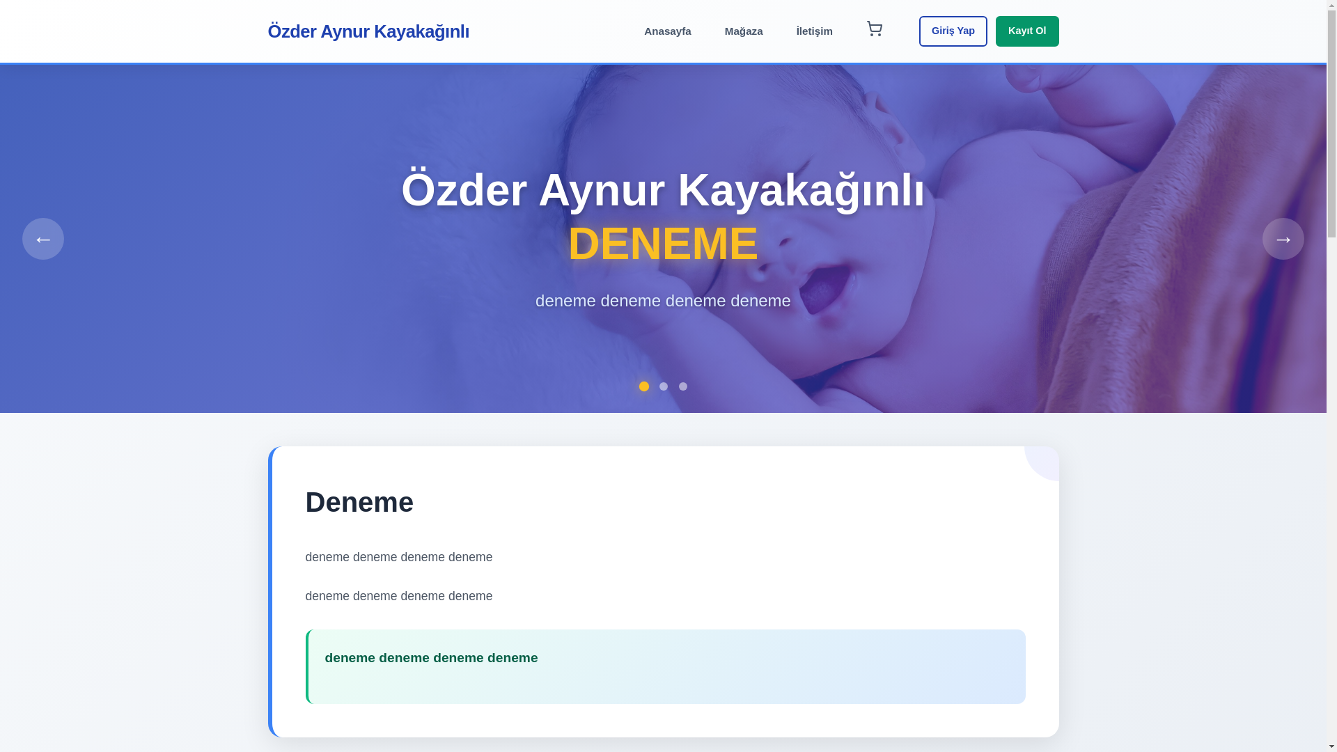 website screenshot of https://aynur-site-frontend.pages.dev/