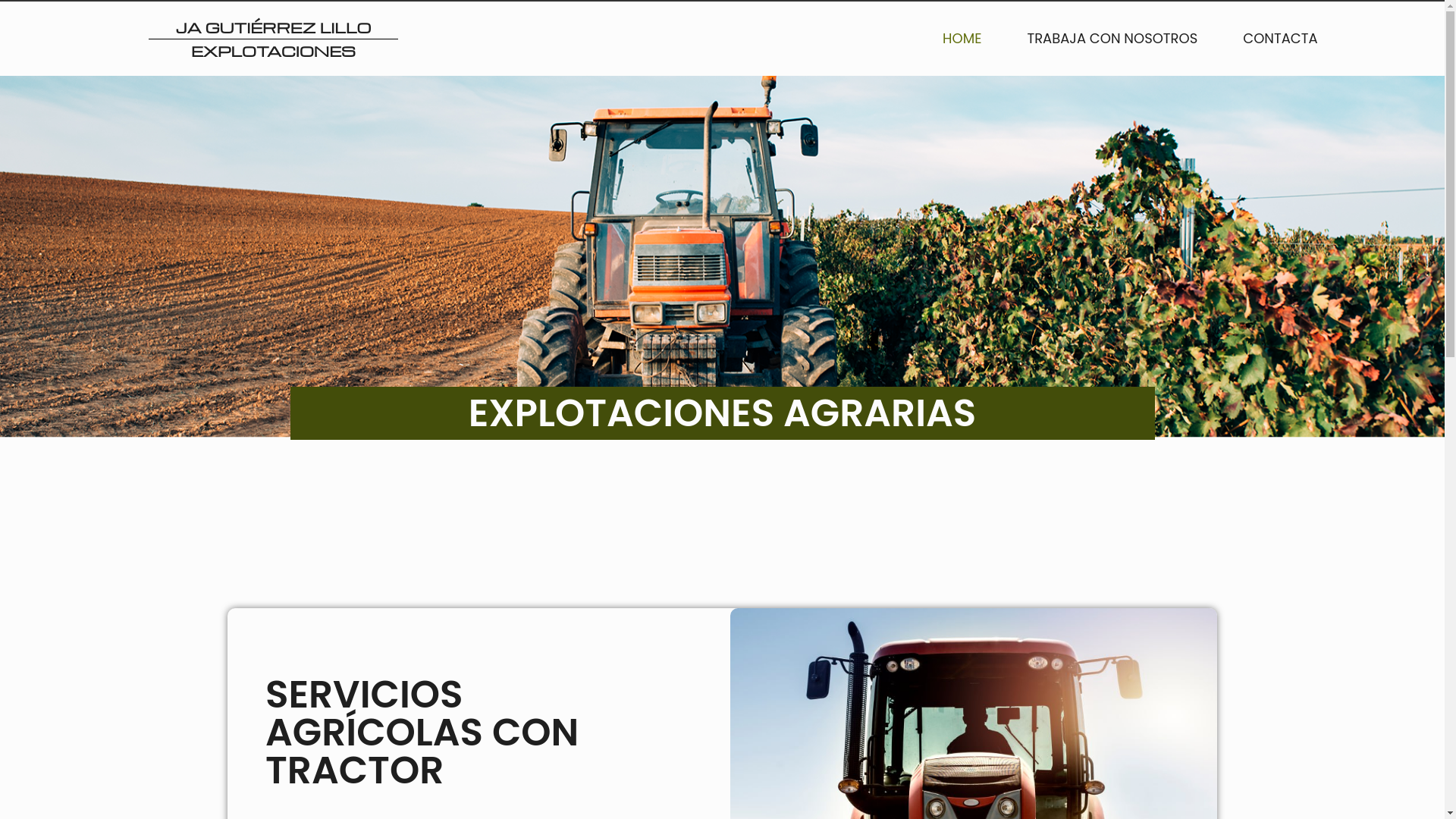 website screenshot of https://explotacionesjagutierrezlillo.ovh/