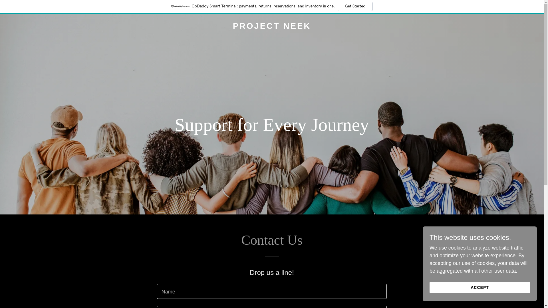 website screenshot of https://projectneek.com/