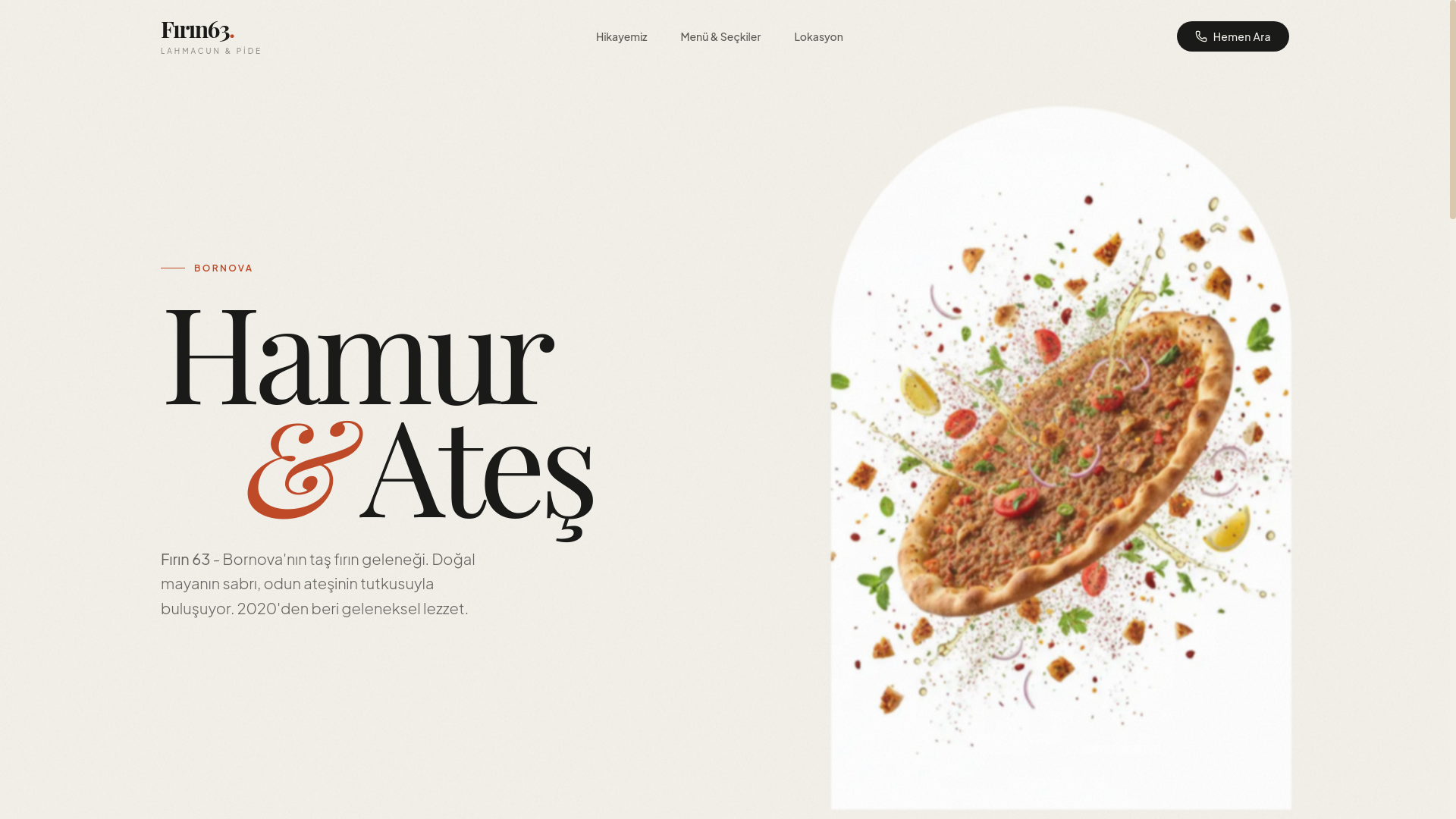 website screenshot of https://firin63.com/