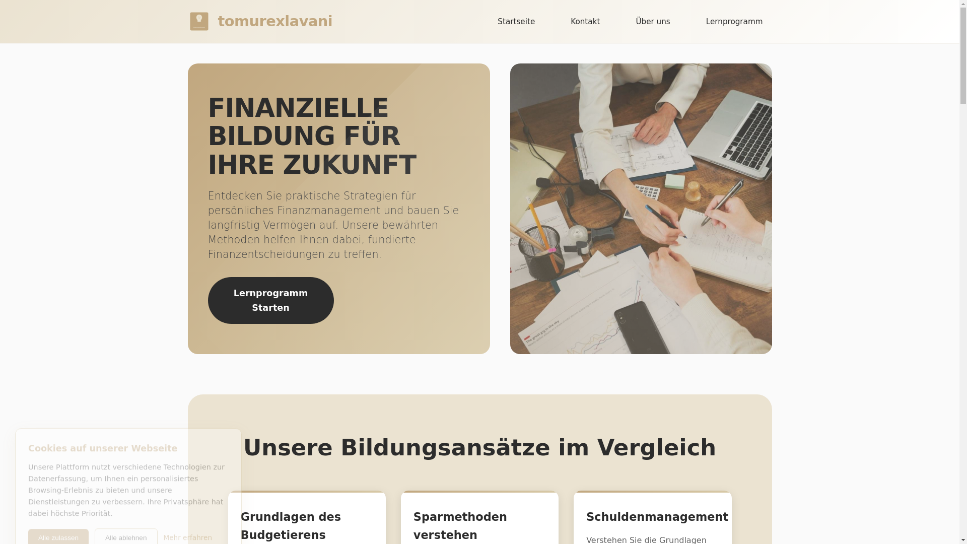 website screenshot of https://tomurexlavani.com/