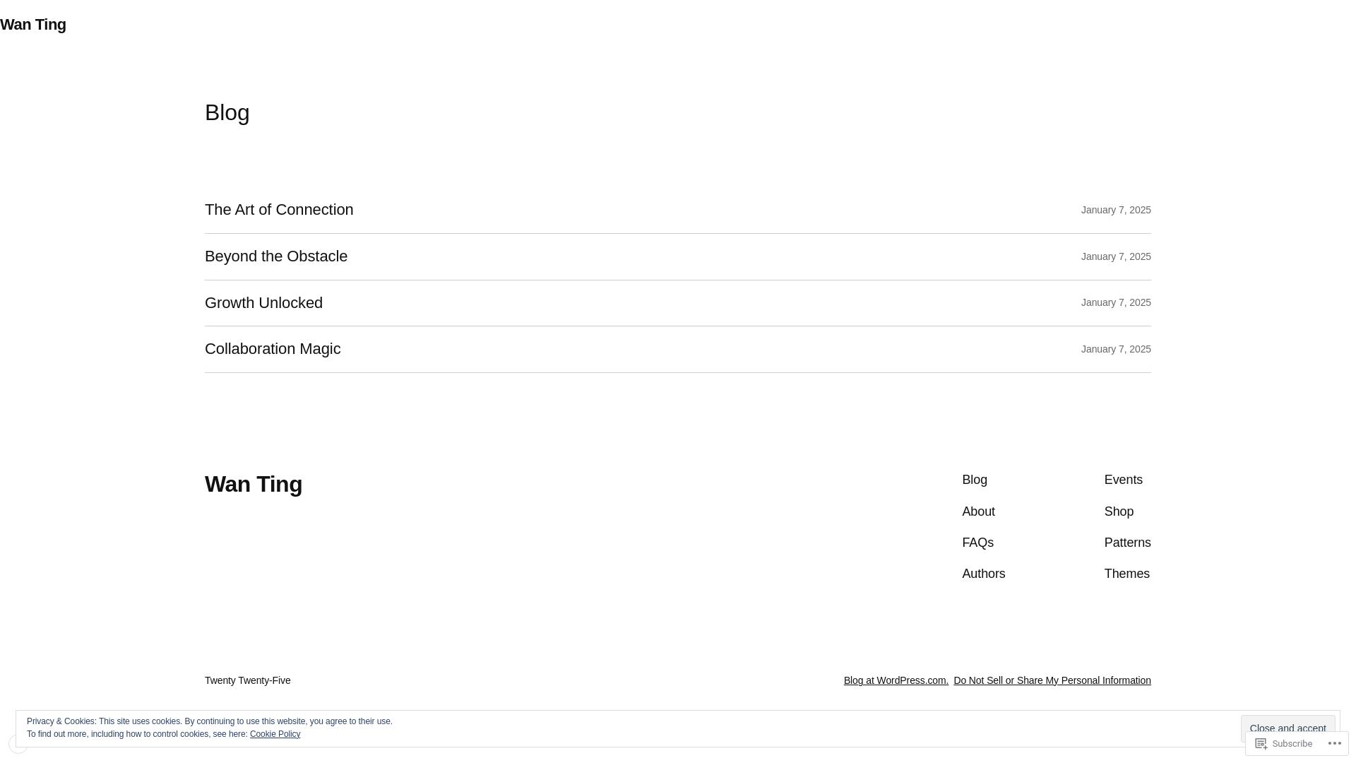 website screenshot of https://wanting-k.com/