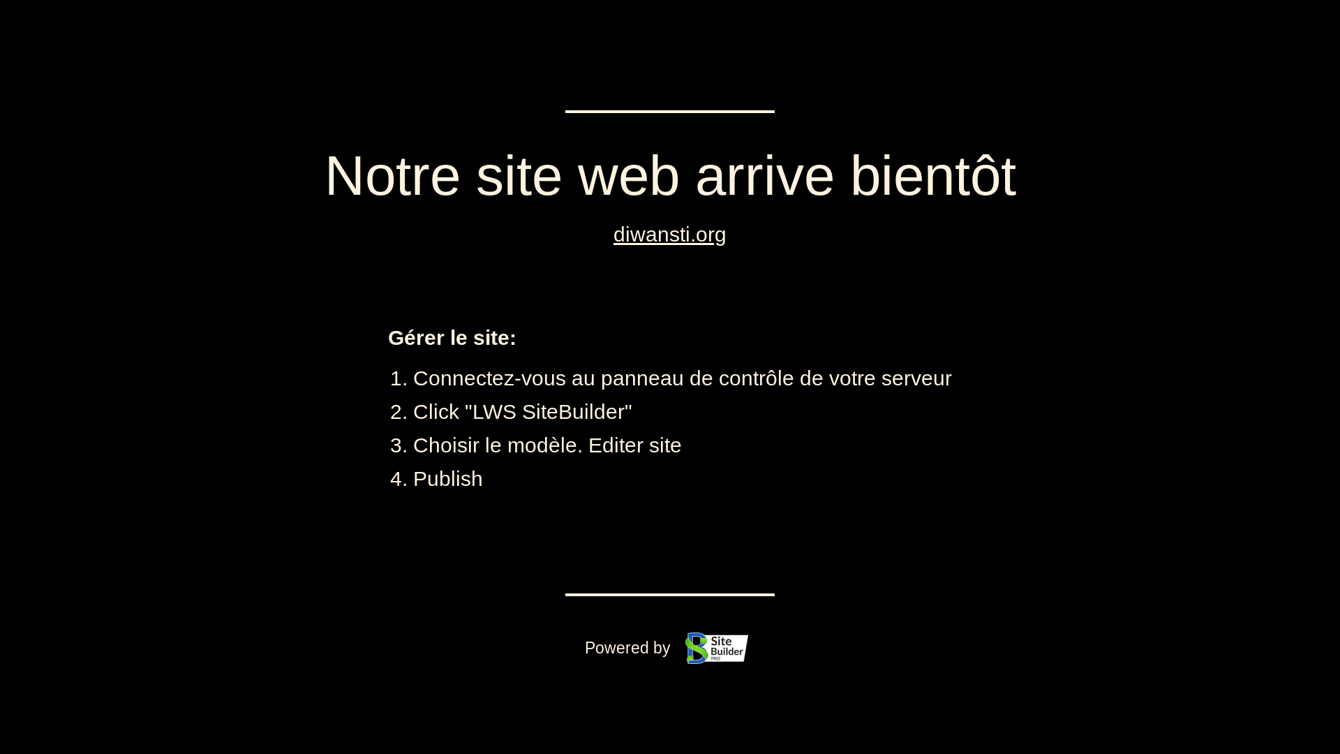 website screenshot of https://diwansti.org/