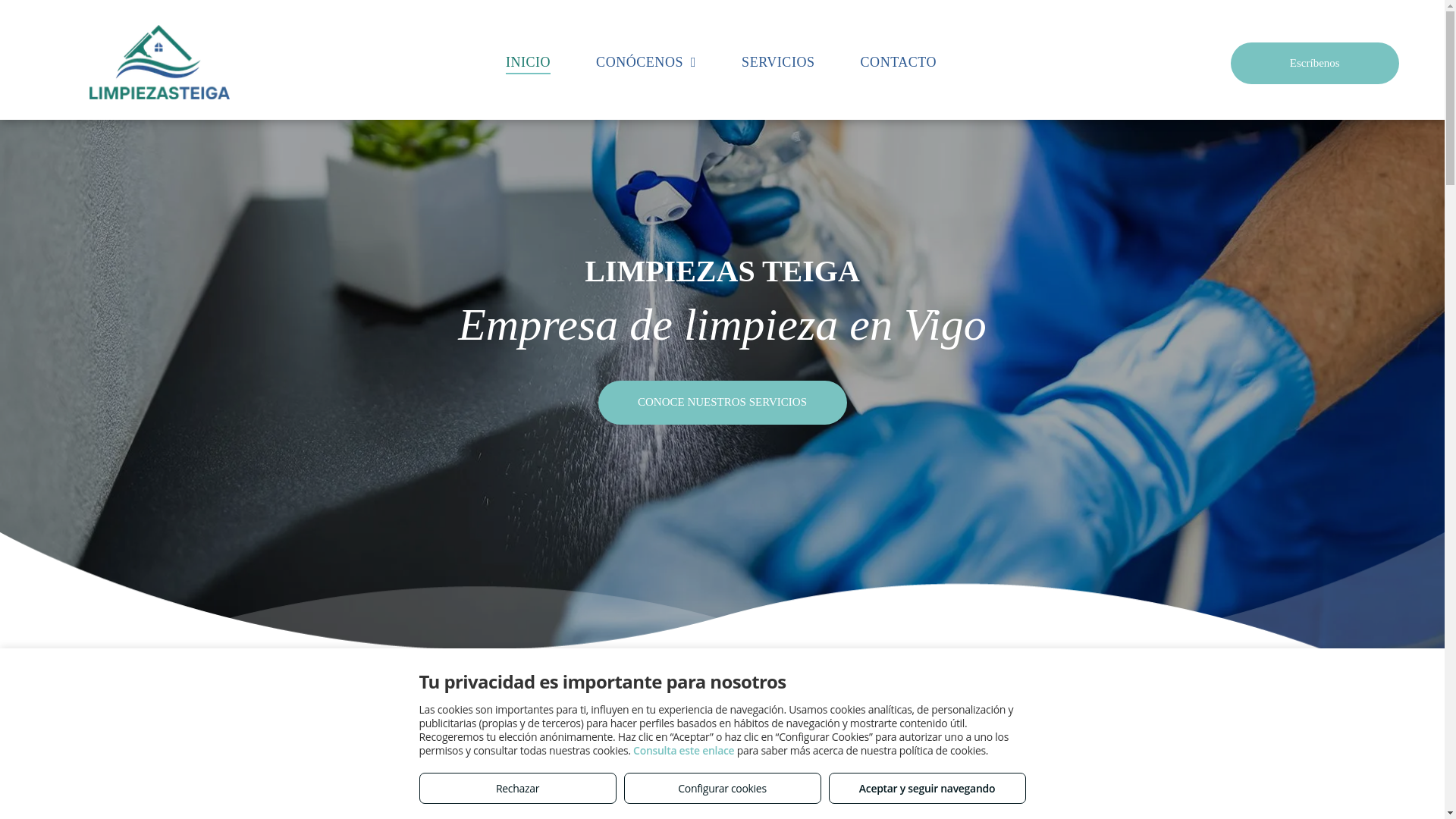 website screenshot of https://limpiezasteiga.com/