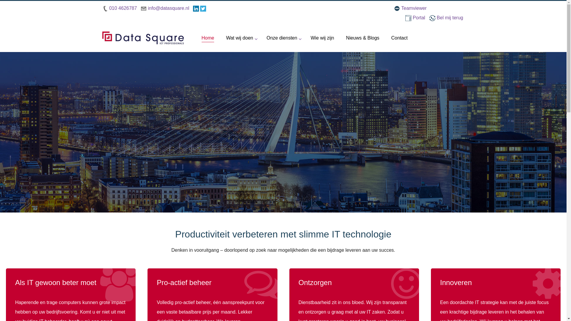 website screenshot of https://ds-innovate.nl/