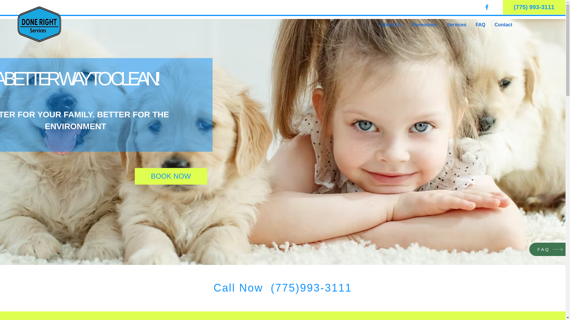 website screenshot of https://donerightservices.biz/