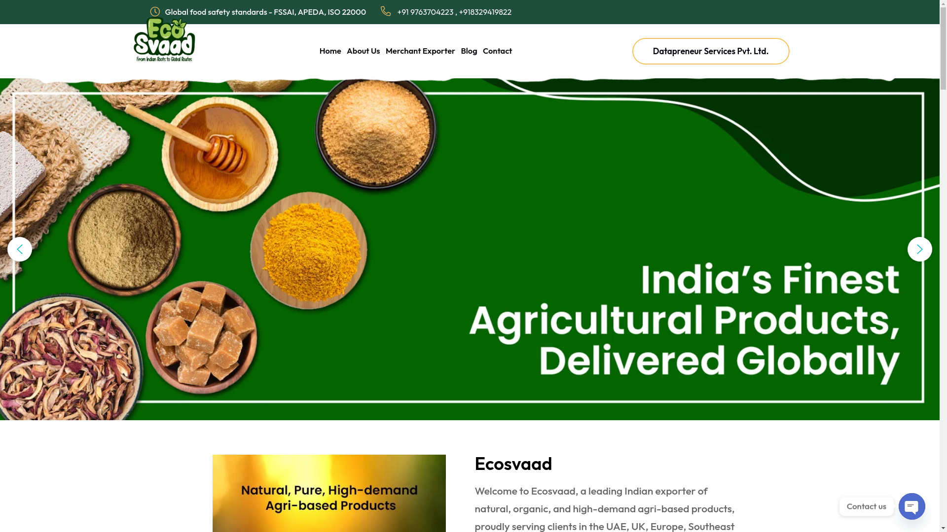 website screenshot of https://ecosvaad.online/