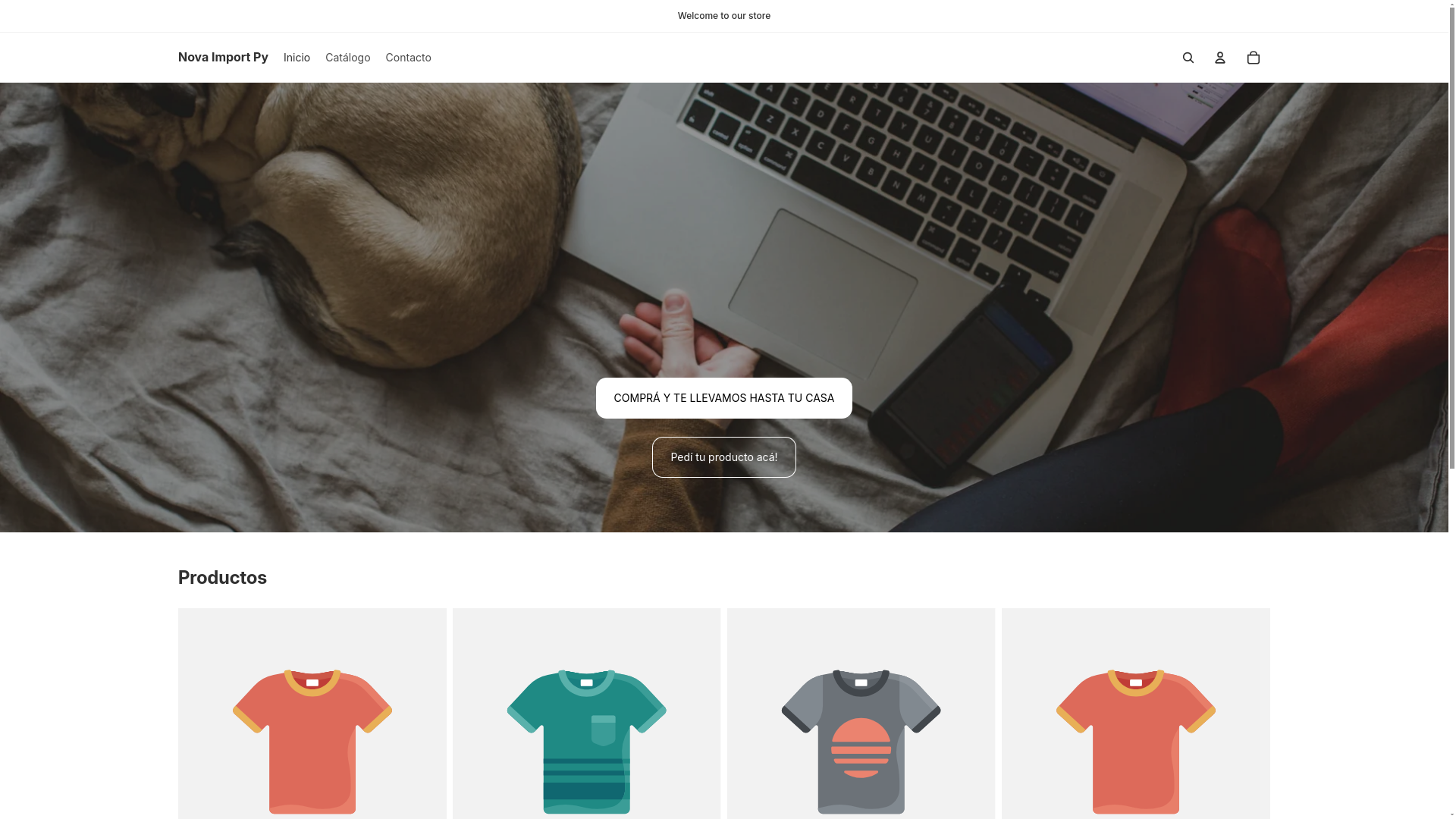 website screenshot of https://novaimportpy.com/