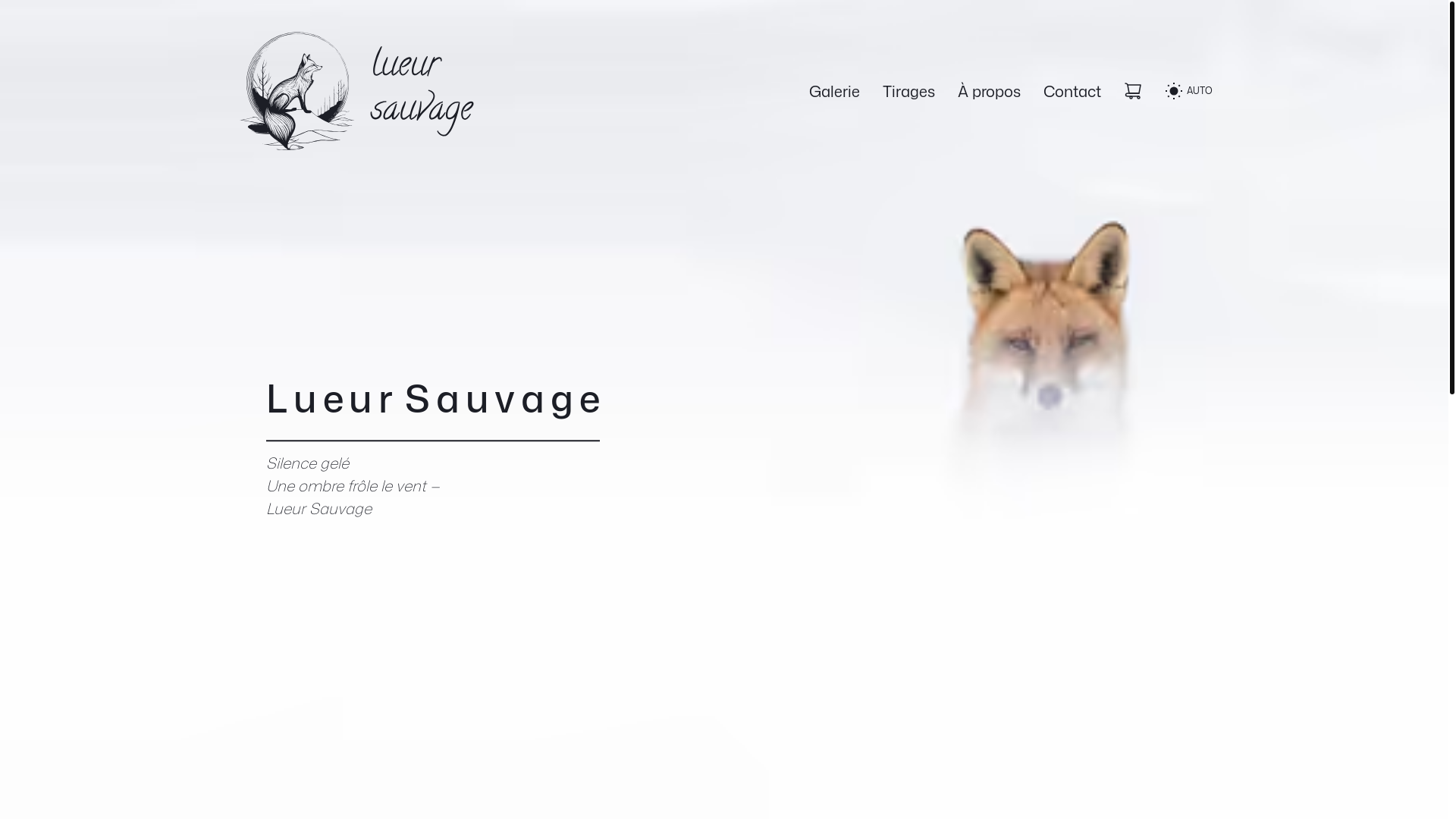 website screenshot of https://lueursauvage.pages.dev/