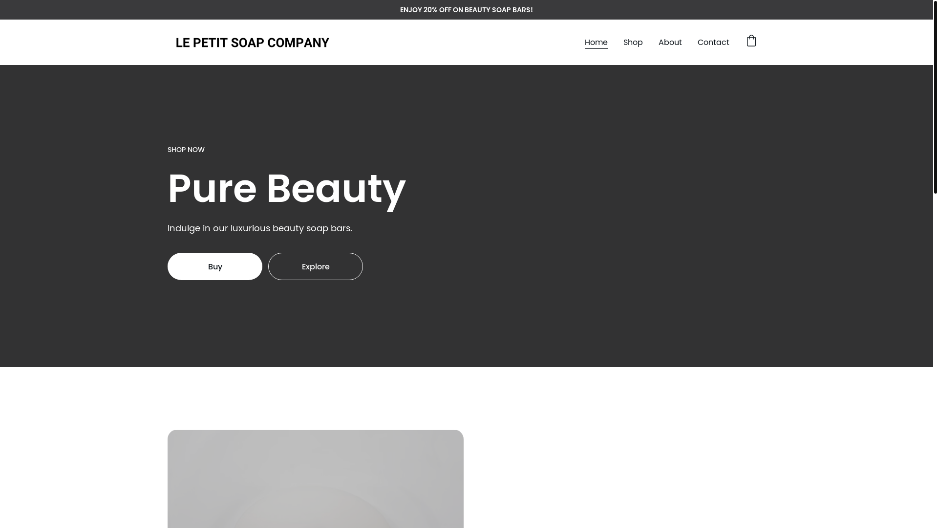 website screenshot of https://lepetitsoapcompany.com/